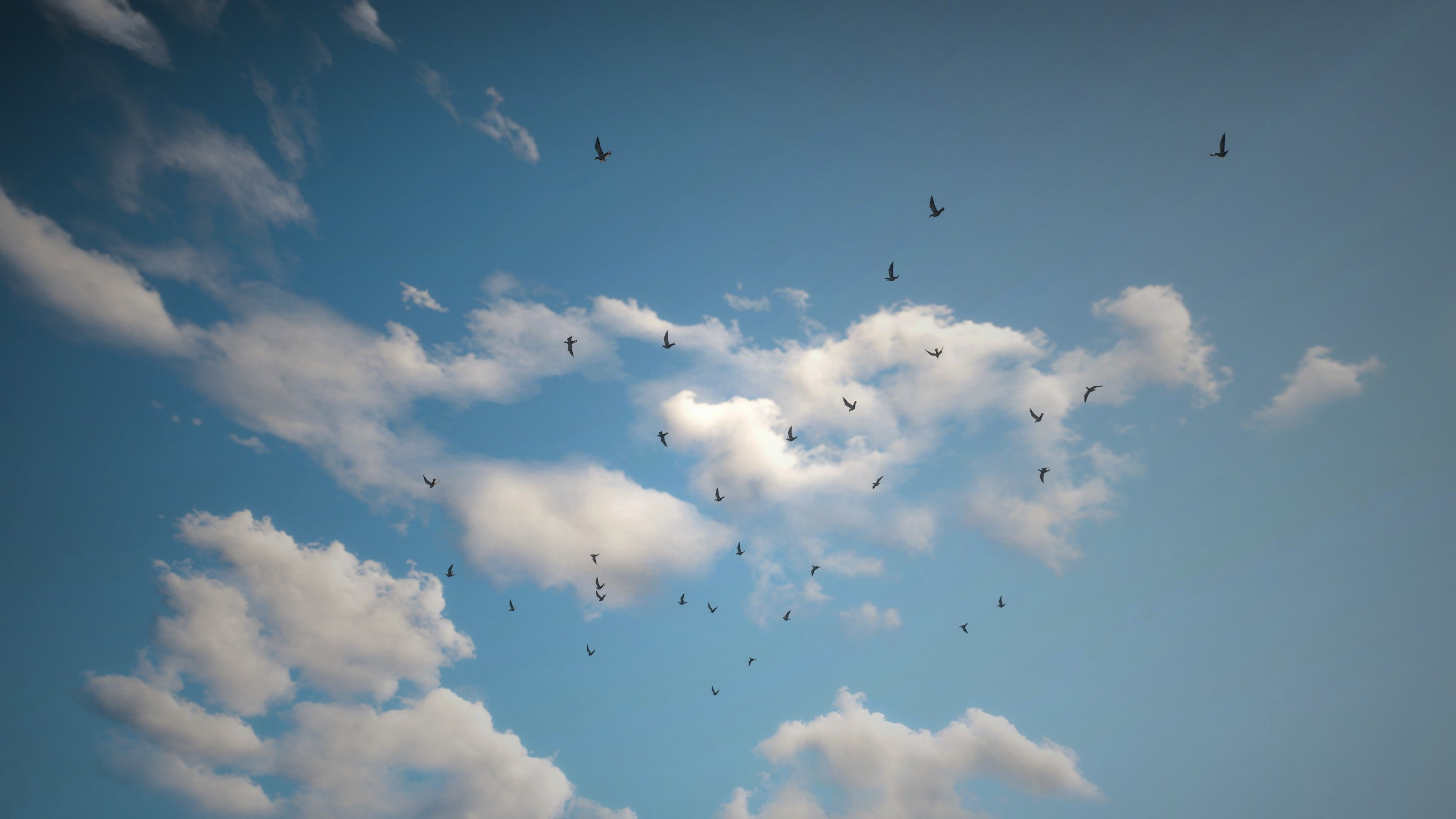 beauty in nature, vertebrate, flock of birds, blue, animal themes, animals in the wild, animal wildlife, mid-air, 2K, cloud - sky, no people, nature, The Witcher 3: Wild Hunt, HD Wallpaper
