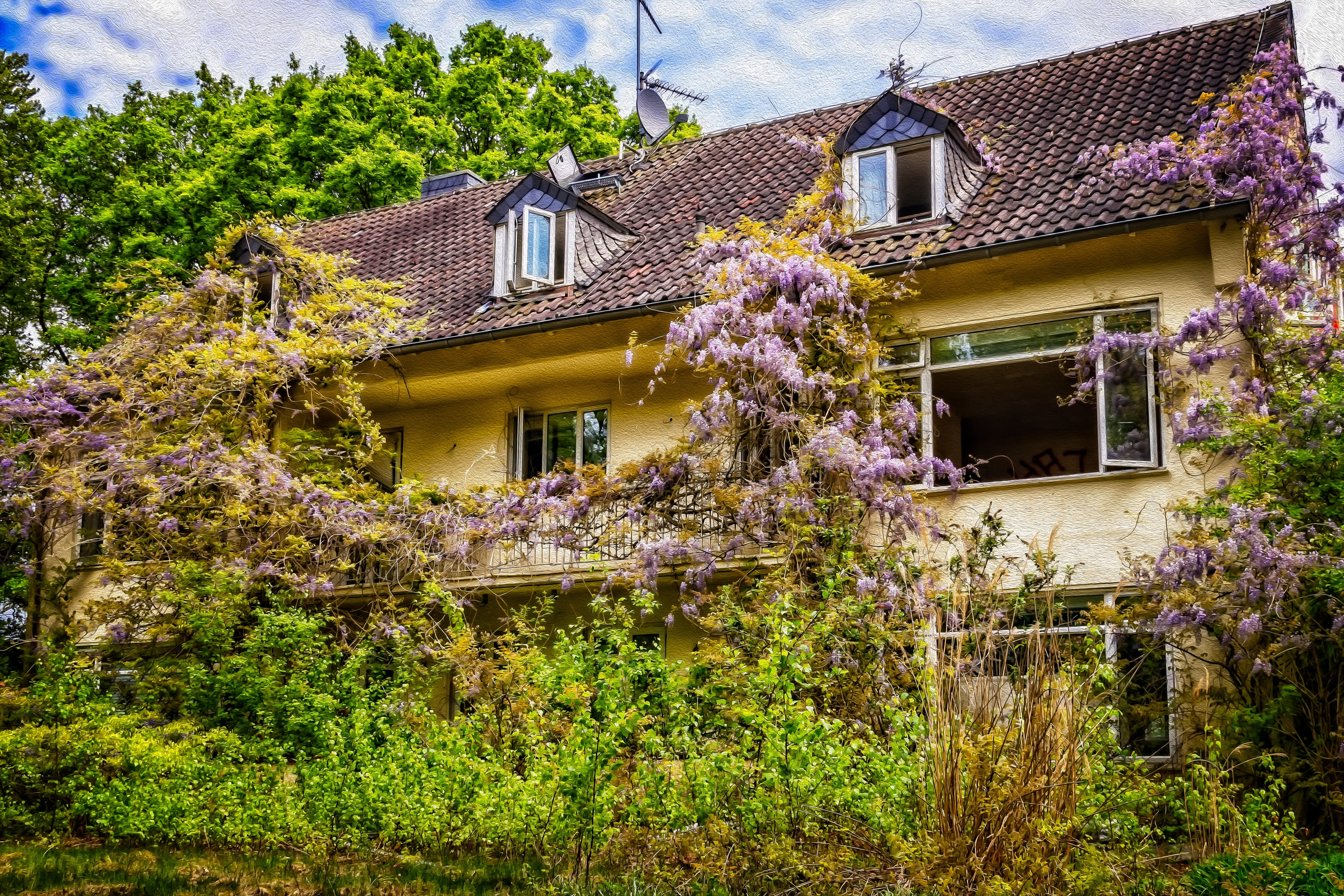 old, lost places, outdoors, covered, villa, mood, old building, forget, built structure, house, day, facade, lapsed, flowers, pforphoto, beauty in nature, HD Wallpaper