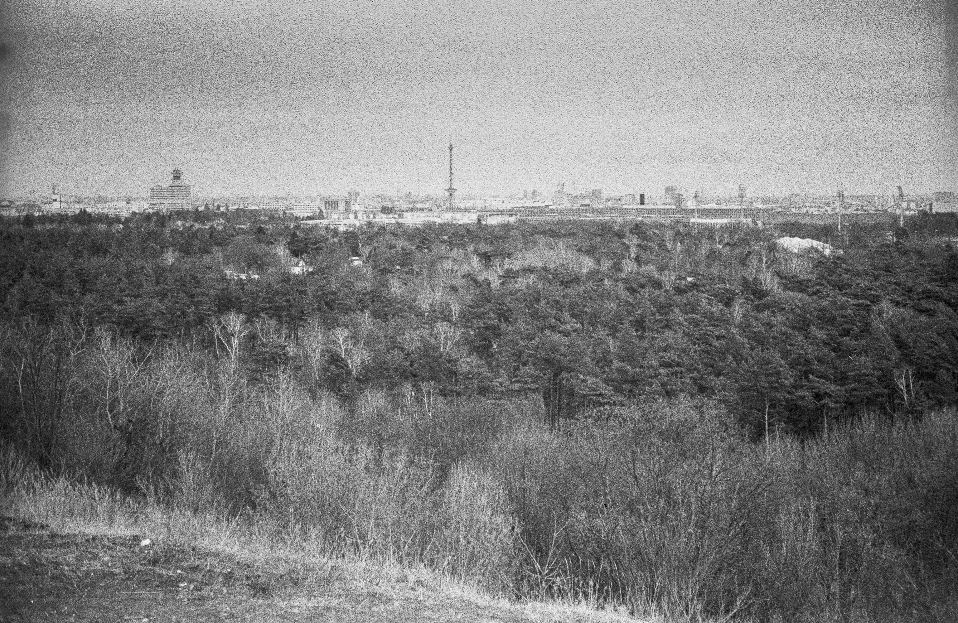 cityscape, building exterior, day, field, olympus, growth, black and white, analog, city, land, building, plant, deutschland, drachenberg, tree, high angle view, HD Wallpaper