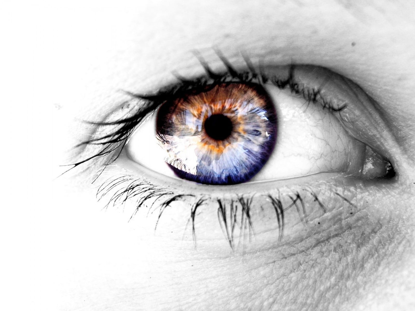 eyeball, women, sensory perception, retina, indoors, white, s, contemplation, eyes, left, extreme close-up, adult, portrait, cornea, person, beautiful woman, HD Wallpaper