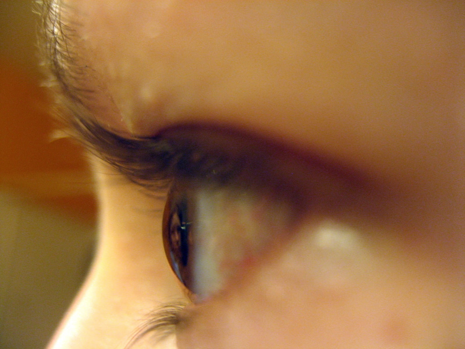human, eyelids, eyesight, optic, eyebrow, person, eye, human eye, macro, one person, left, profile view, cosmetic, woman, look, lady, eyelid, indoors, female, HD Wallpaper