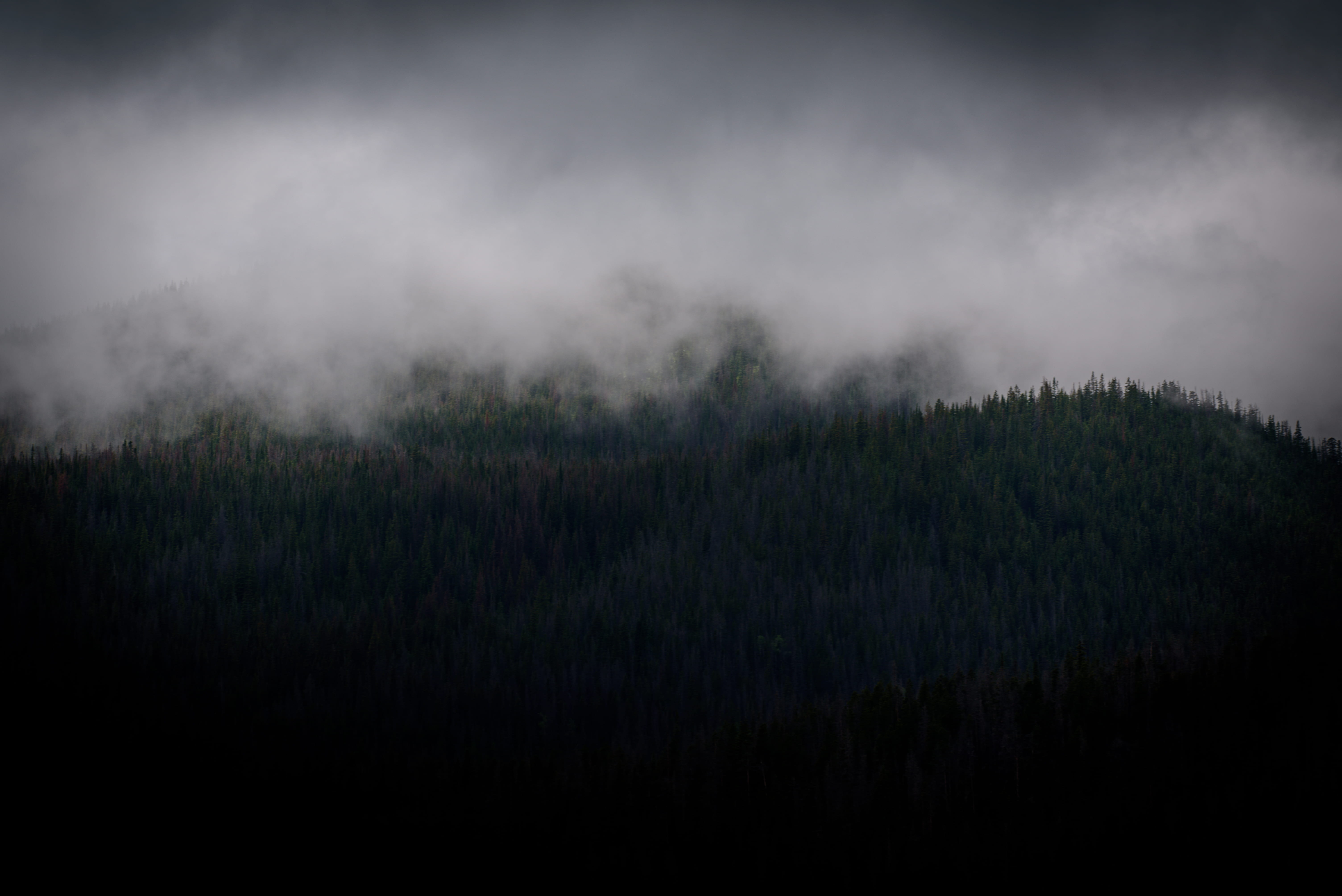 grove, nature, sky, outdoors, mystery, cloud, trees, foggy, smoke, plant, fog, beauty in nature, scenics - nature, misty, thunderstorm, environment, meteorology, HD Wallpaper