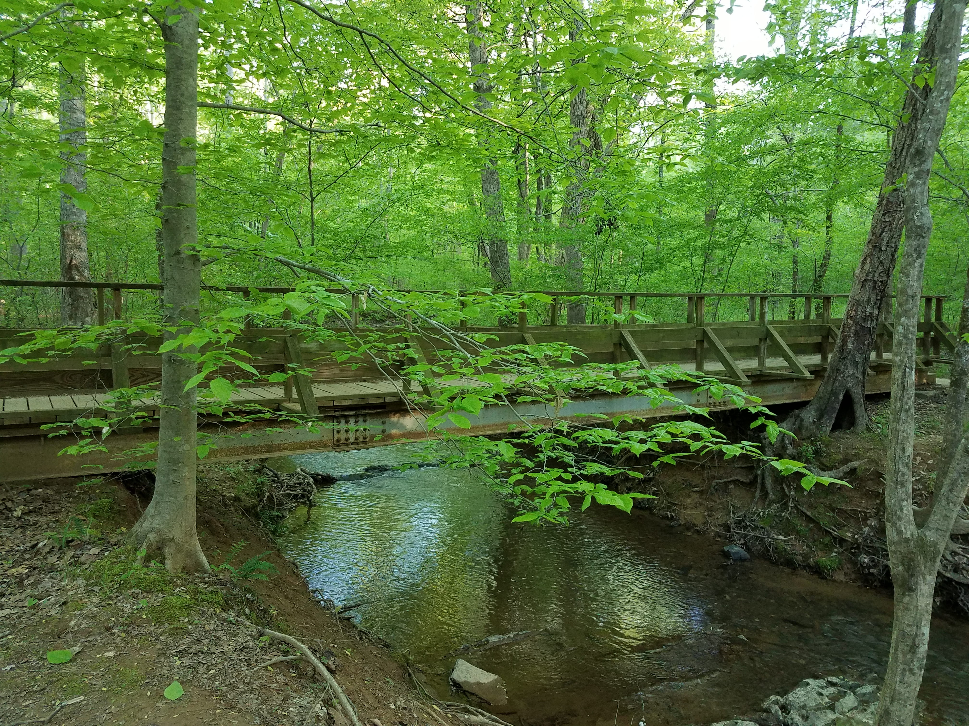 no people, hiking, 4K, creek, wooden bridge, green color, tranquil scene, forest bathing, land, mill, stream - flowing water, united states, trees, connection, HD Wallpaper