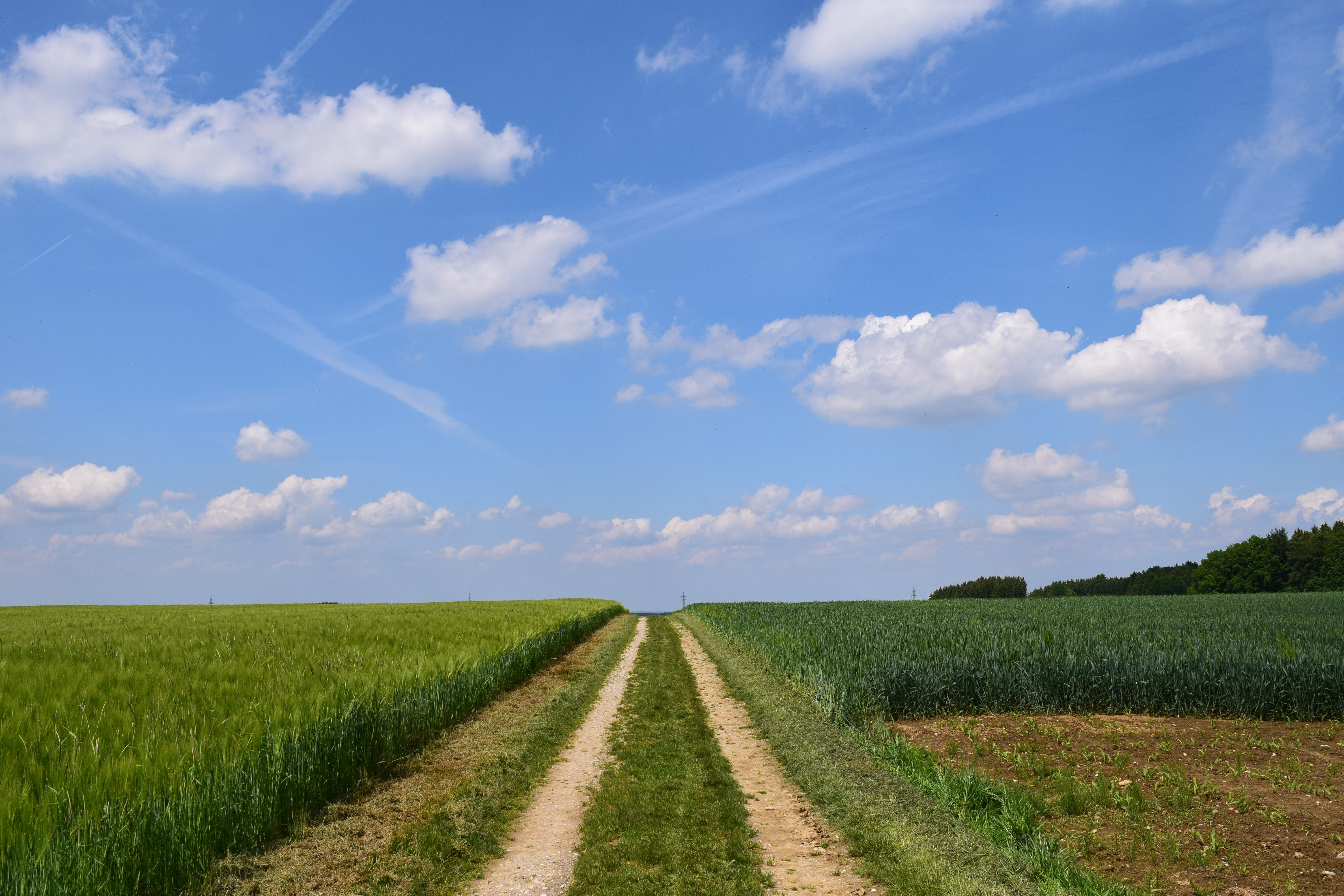 no people, scenics - nature, scenics, road, landscape, target, diminishing perspective, green color, outdoors, Agriculture, 5K, Away, Field, day, grass, HD Wallpaper