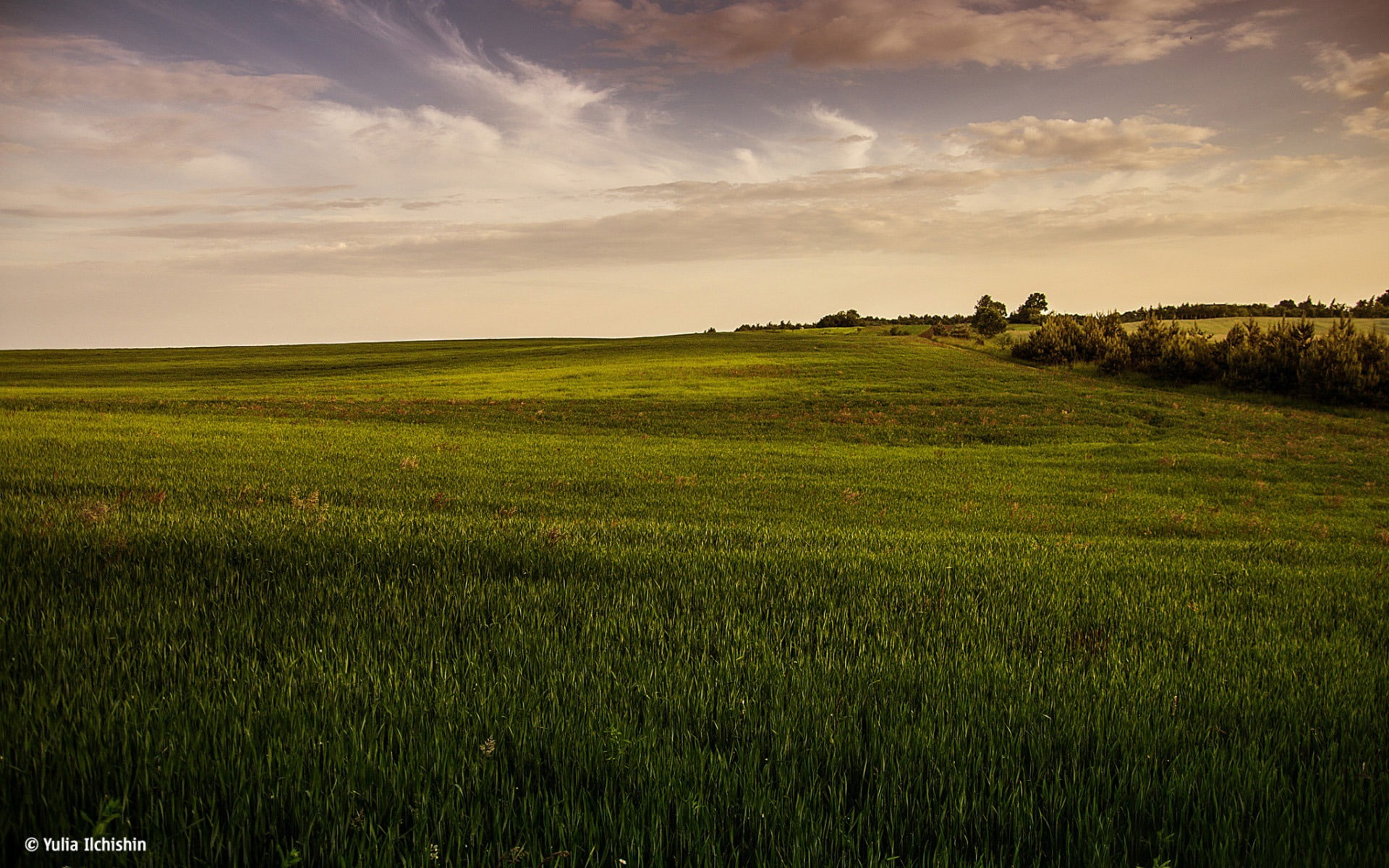 tranquil scene, scenics - nature, hope, grass, green color, sky, land, environment, plantation, 1080P, landscape, agriculture, plant, nature, HD Wallpaper