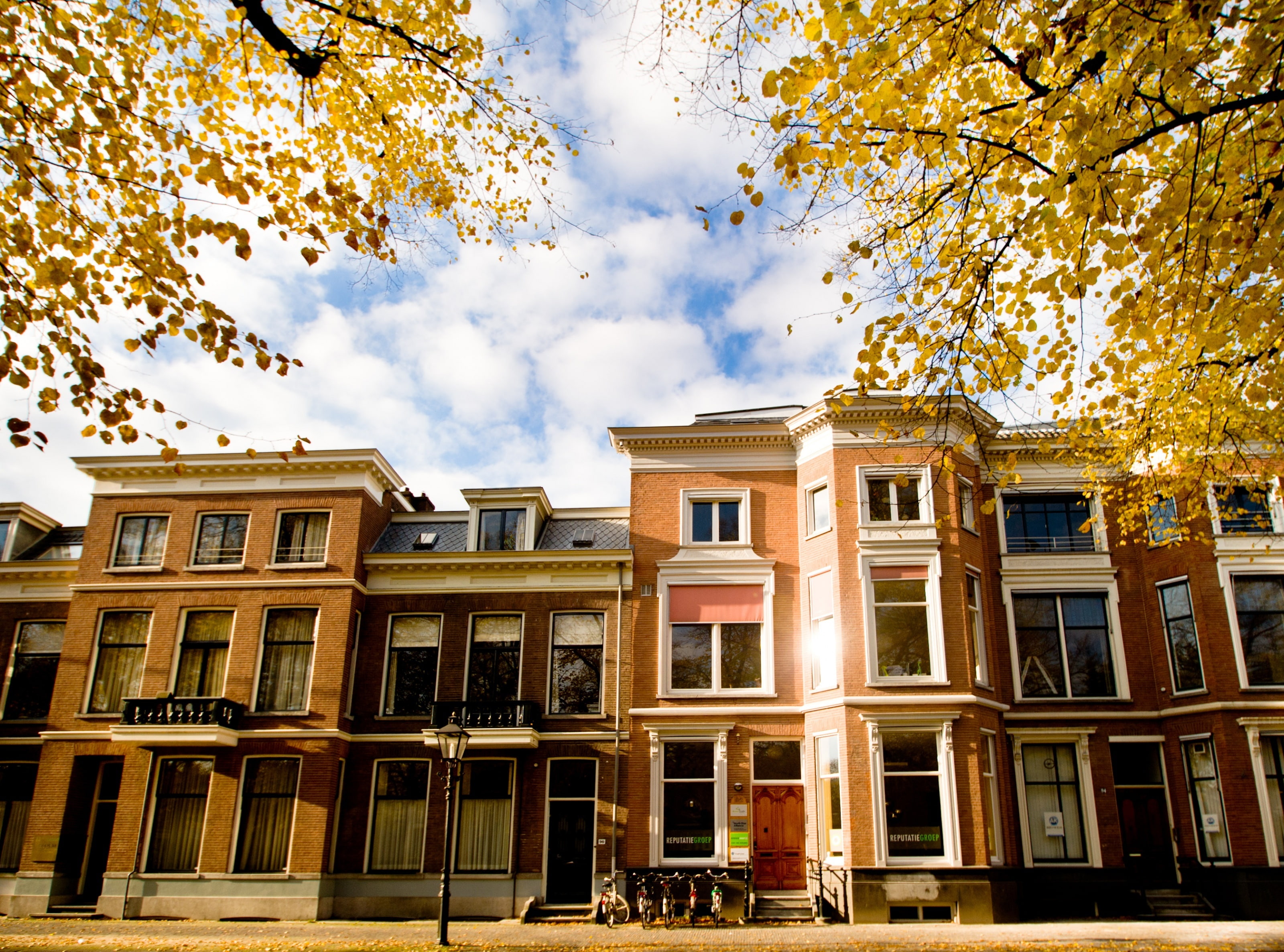 leafs, bladeren, brown, tree, day, no people, Nature, sky, Travel, zonlicht, Utrecht, change, Yellow, facade, Leaves, building, stad, 2K, low angle view, HD Wallpaper