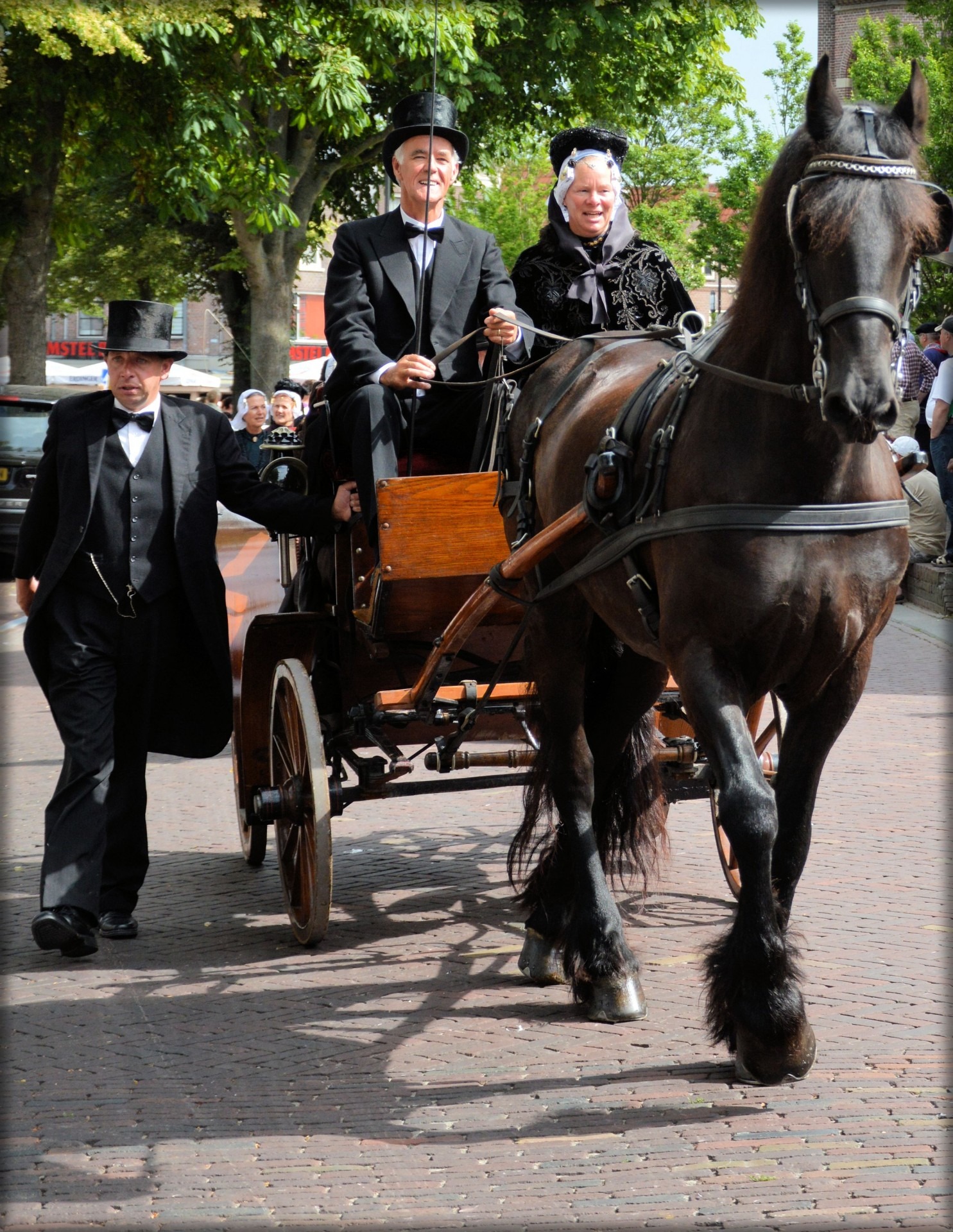 authentic, ride, animal wildlife, real people, schagen, groups, 1080P, people, herbivorous, carriages, working animal, west friesland, volendam, vertebrate, Phone HD Wallpaper