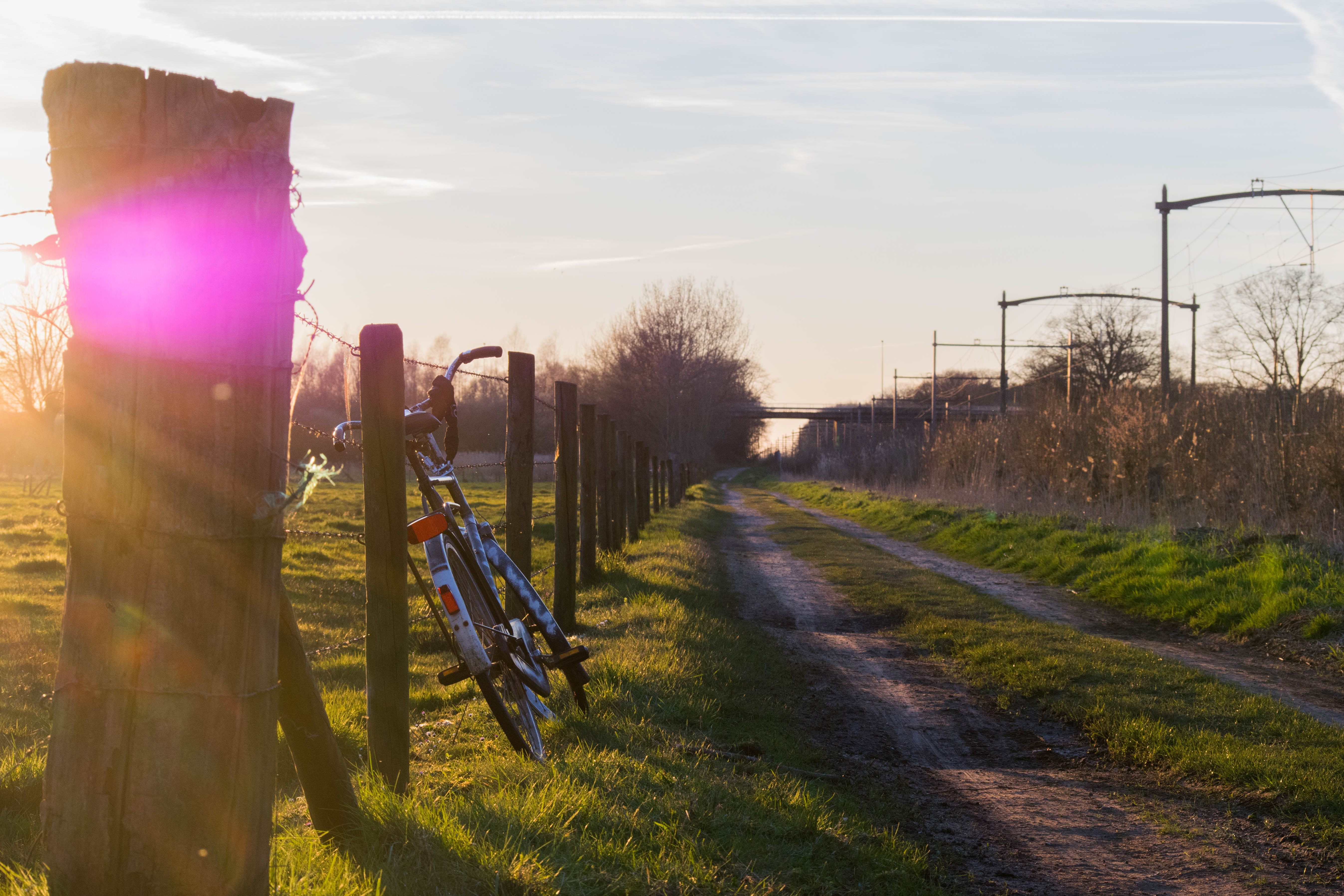 sun, no people, outdoors, holland, sunbeam, sunlight, polder, nature, field, tilburg, sunflare, lens flare, road, fence, day, summer, 5K, sunset, mode of transportation, HD Wallpaper