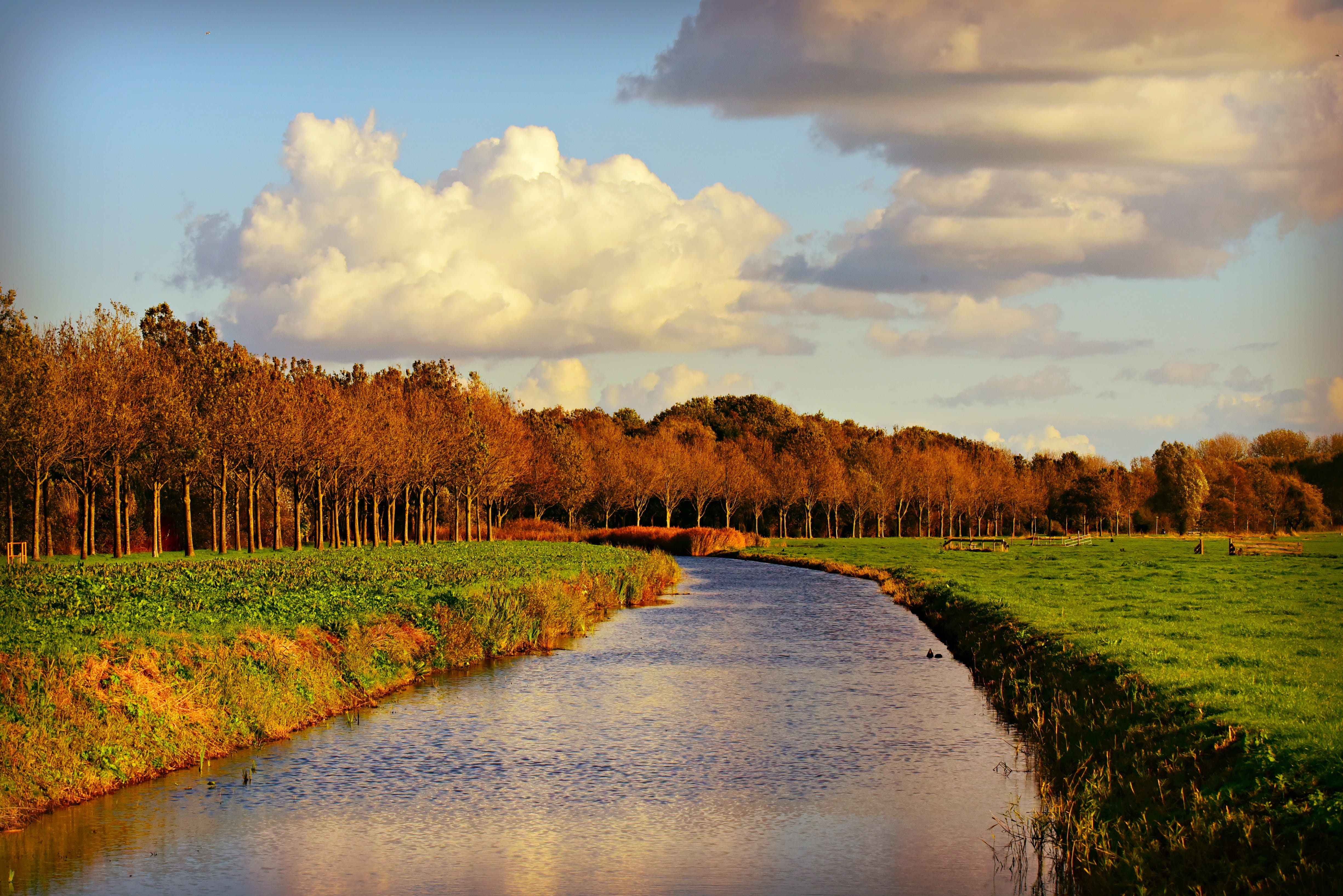 scenics - nature, cloud - sky, grass, field, sky, countryside, plant, water, tranquility, trees, canal, waterway, tree, no people, outdoors, forest edge, HD Wallpaper