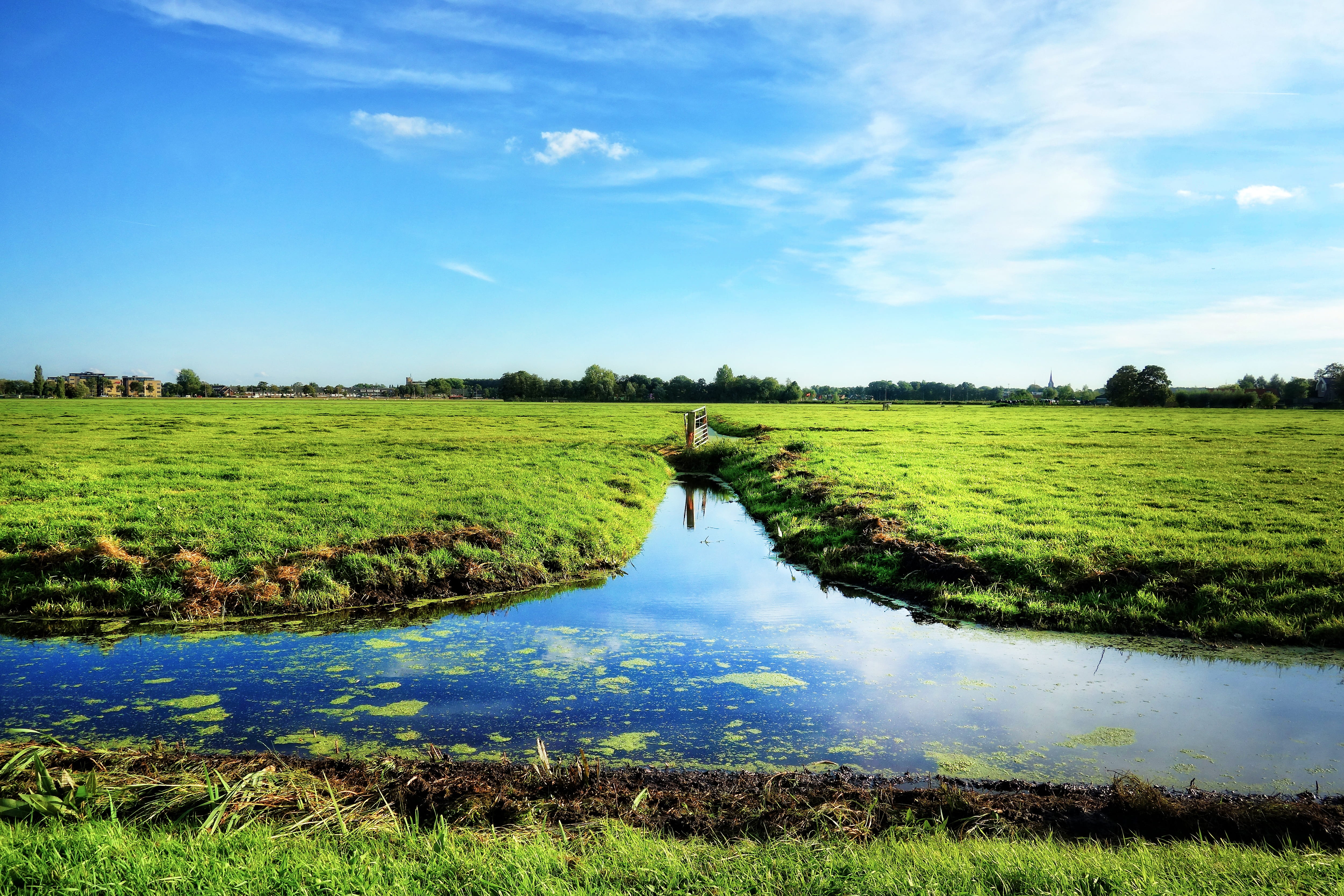 4K, sunny day, water, cloud - sky, land, outdoors, dutch landscape, green color, grass, beauty in nature, tranquil scene, waterway, meadows, polder, farmer, HD Wallpaper