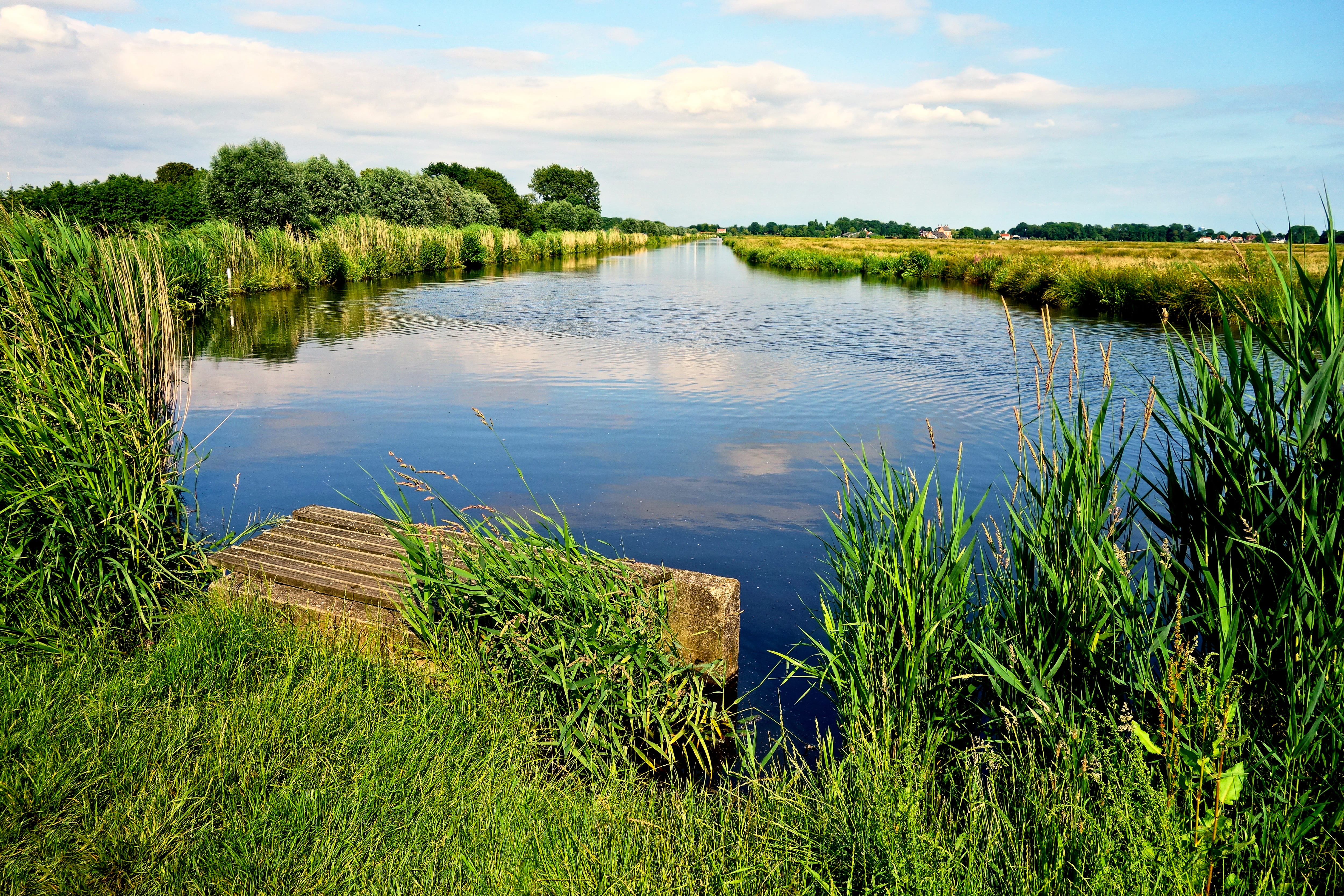 dutch landscape, nature, waterway, non-urban scene, rushes, 4K, peaceful, polder, green color, lake, sky, netherlands, rural, day, plant, landscape, reflection, HD Wallpaper