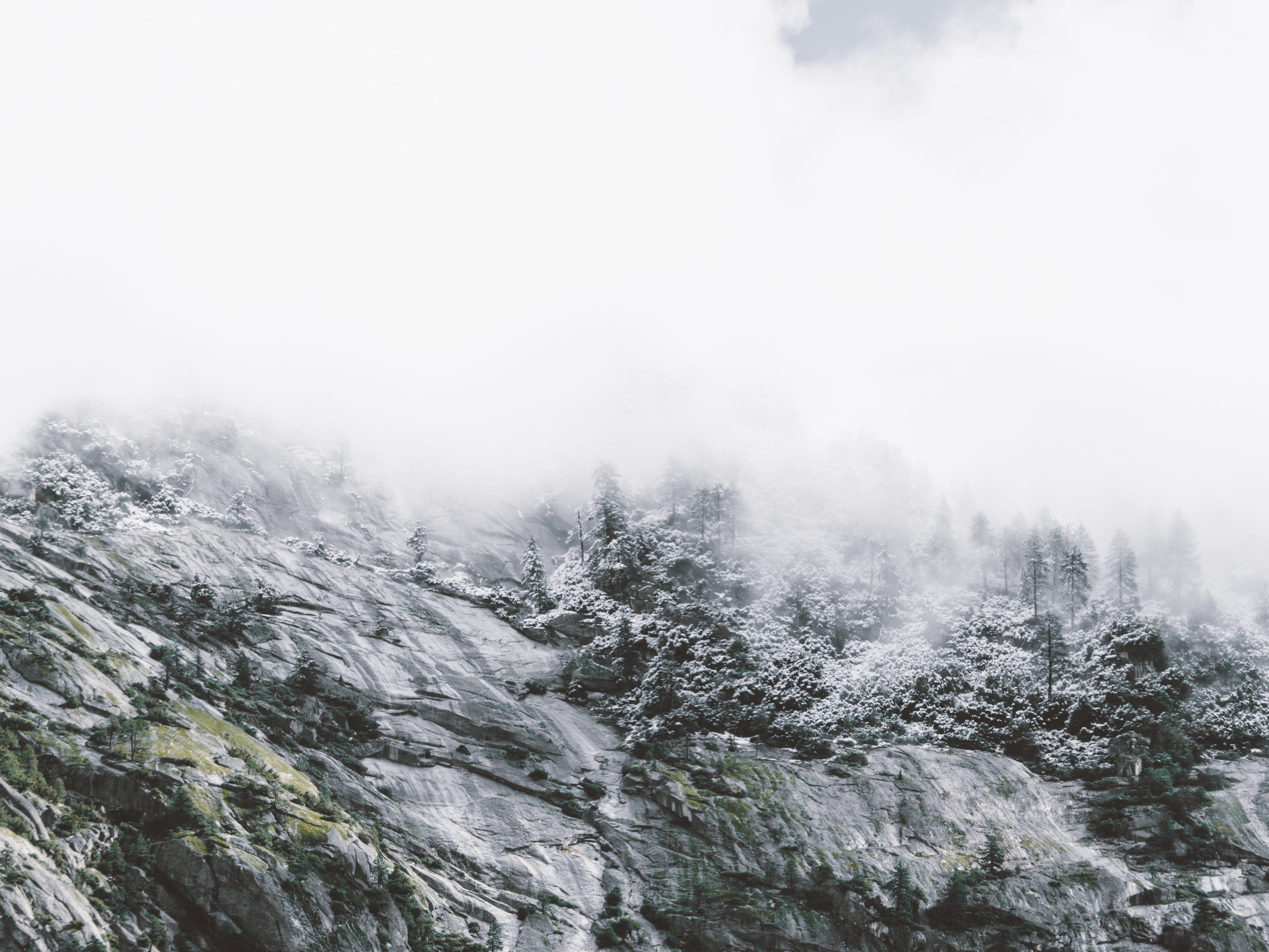 winter, mountain, no people, foggy, rock, frost, non-urban scene, covered, day, ice, photo, weather, cloud, scenics, pine, forest, nature, range, grayscale, HD Wallpaper