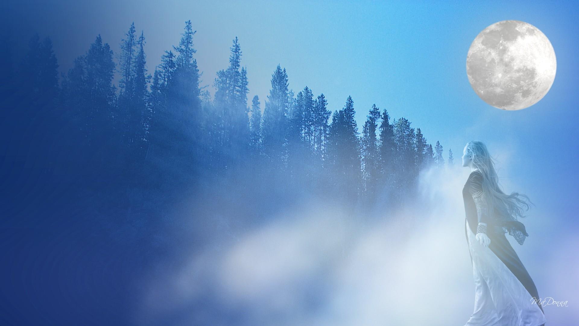 woman, mist, trees, full moon, foggy, blue, misty, forest, 3d and abstract, 1080P, woods, lady, HD Wallpaper