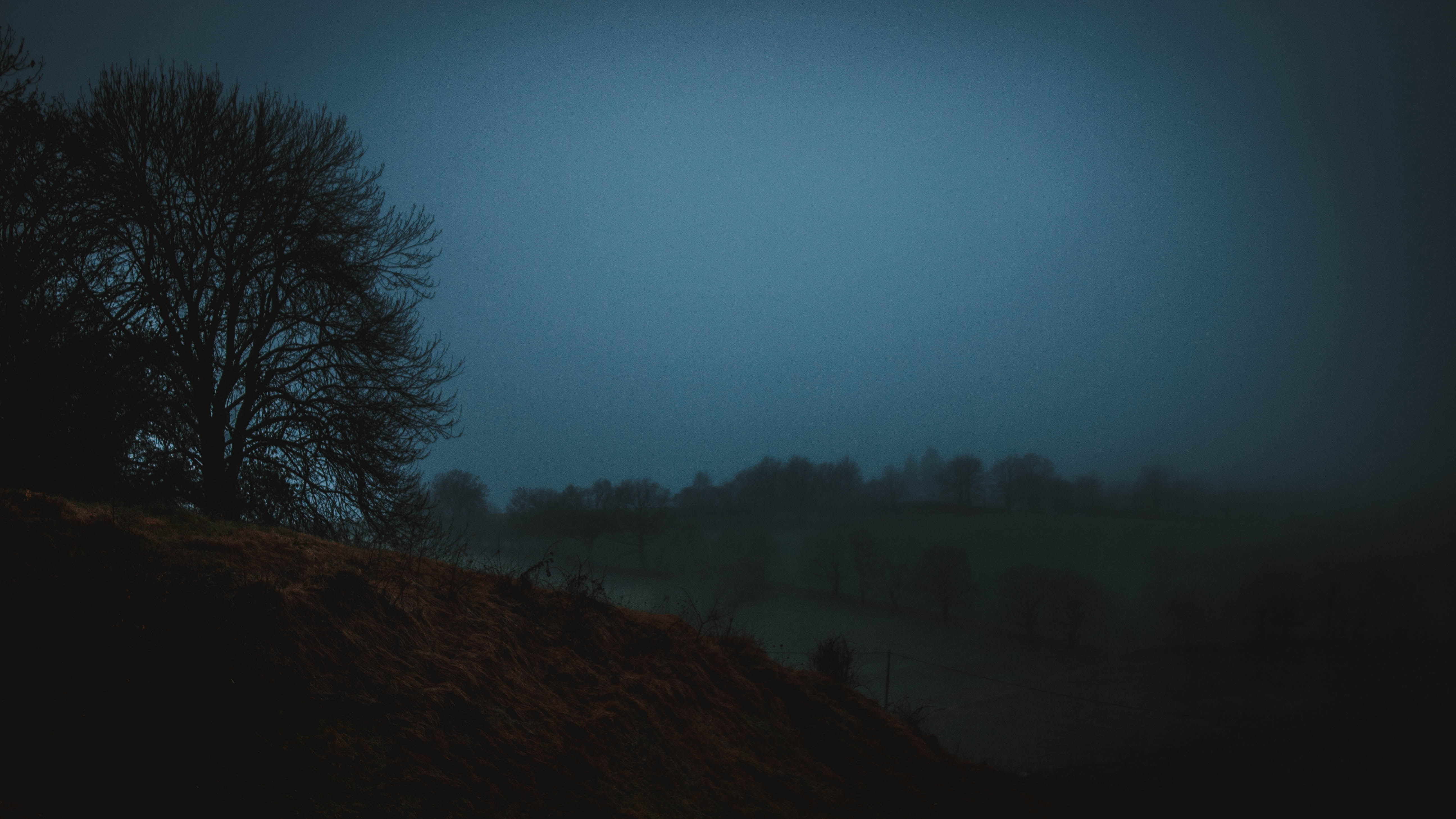 copy space, field, plant, mysteriou, winter, brown, land, blue, fog, green, night, outdoors, landscape, silhouette, dusk, beauty in nature, sky, dark, clear sky, HD Wallpaper