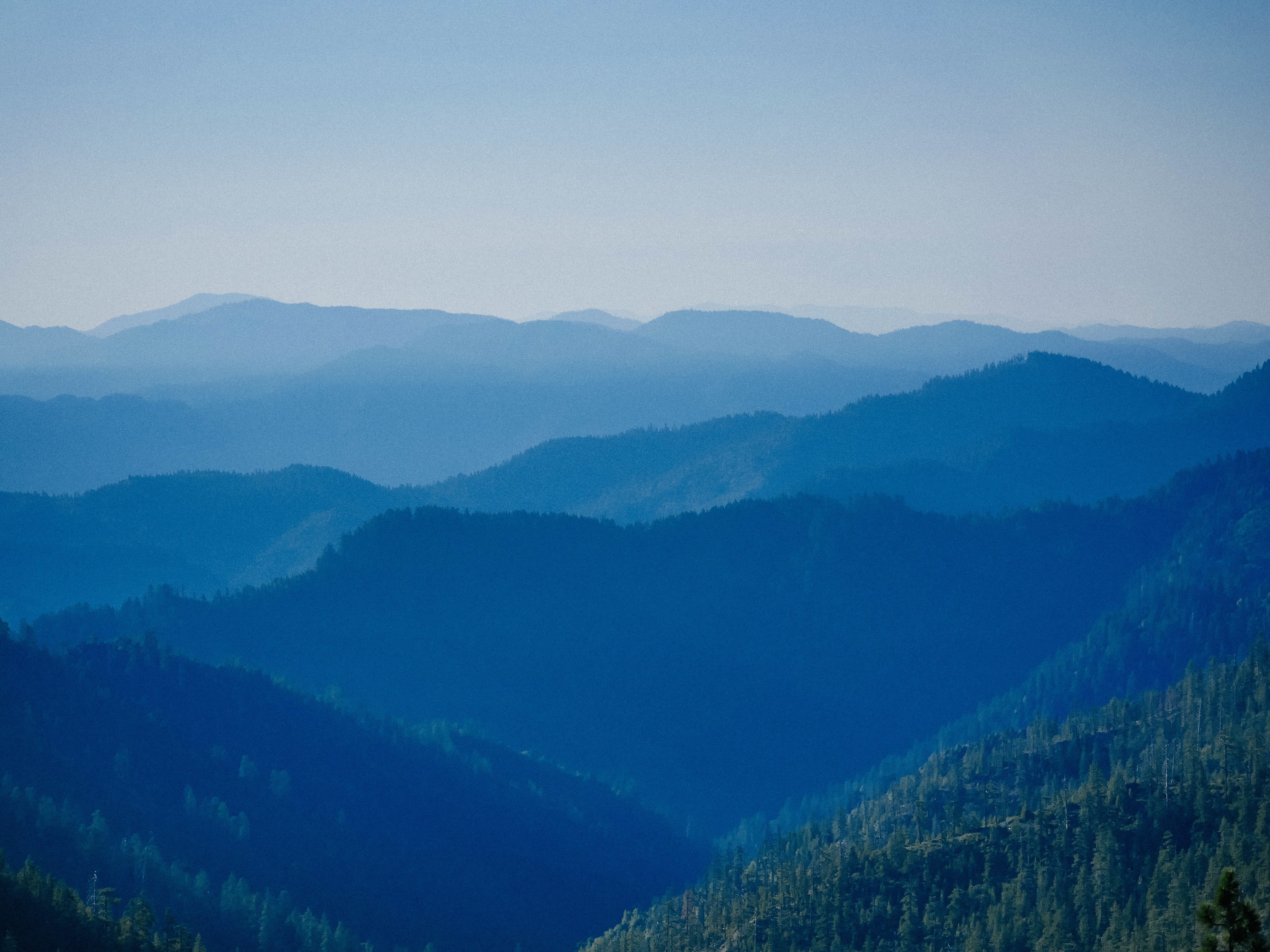 mountain ridge, blue, hills, forest, scenics - nature, plant, sky, environment, landscape, misty, view, nature, fog, panorama, range, land, 4K, pine woodland, HD Wallpaper