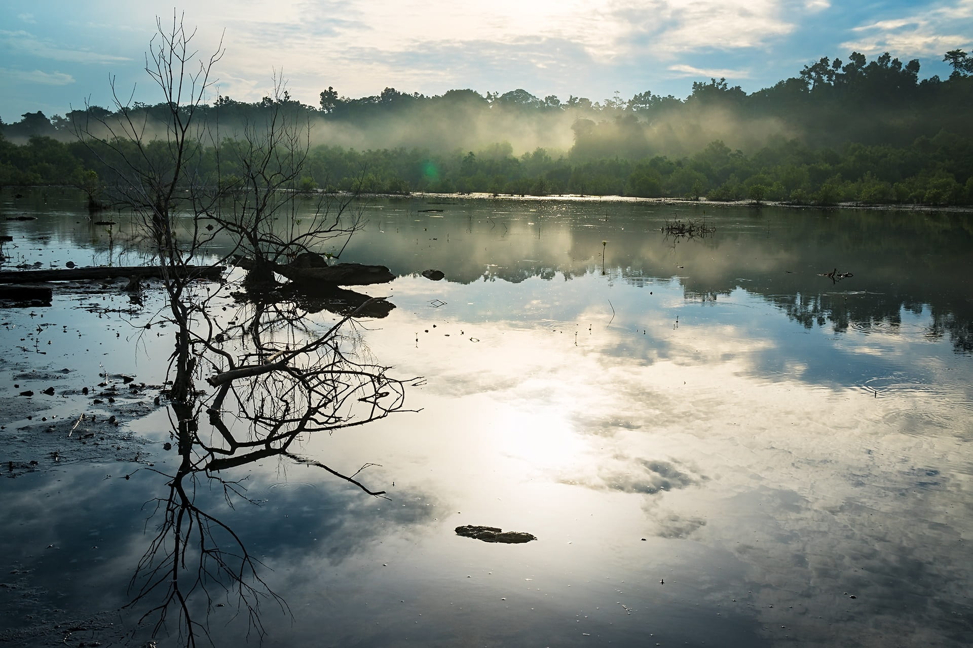 scenics - nature, lake, swamp, bog, scenery, reflection lake, environment, outdoors, water, light, silhouette, non-urban scene, blue, reflection, calm, HD Wallpaper