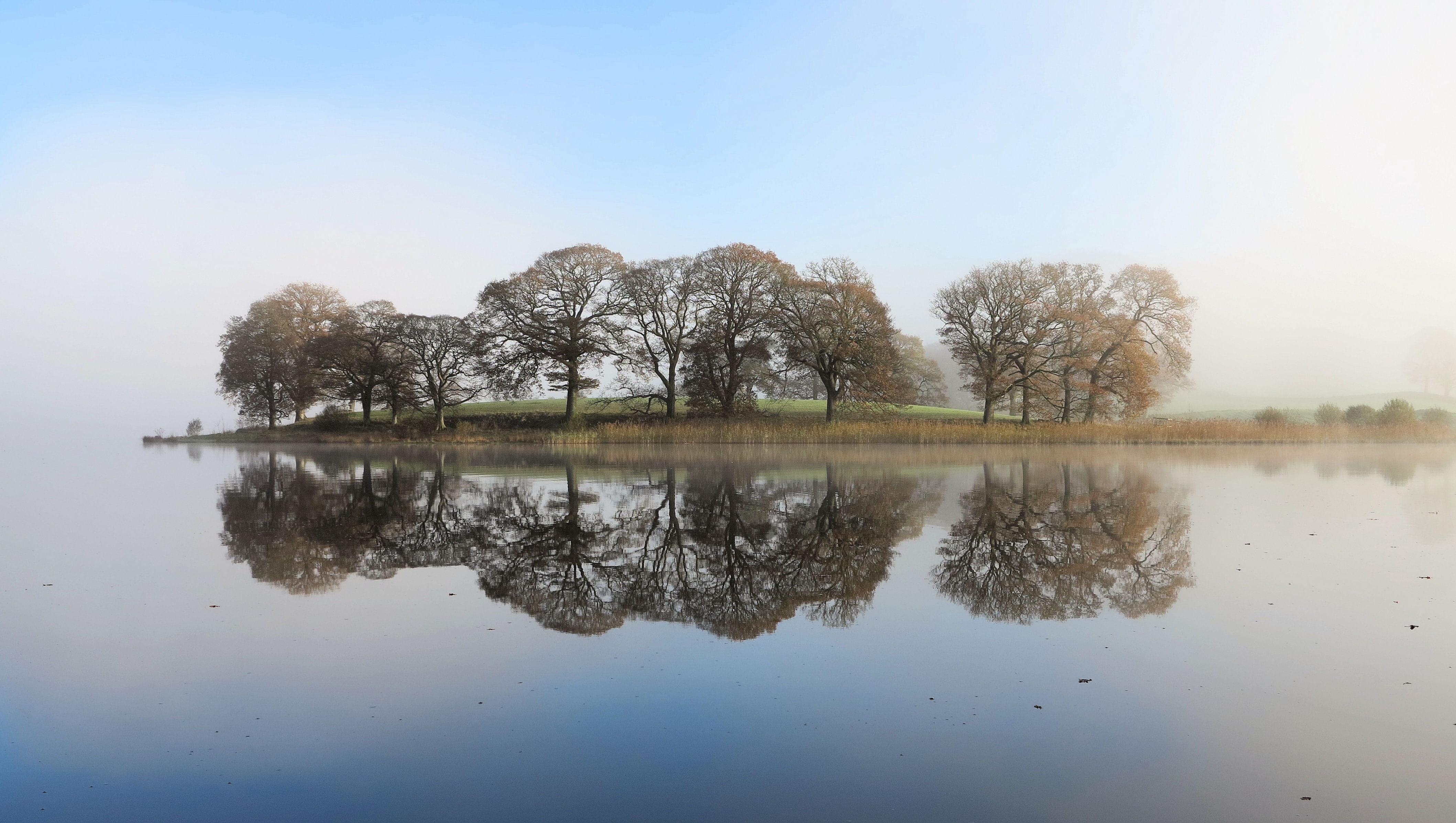 fog, esthwaite, mist, england, cumbria, waterfront, peaceful, tranquility, green, 4K, outdoors, tree, trees, reflection lake, scenery, day, national, nature, HD Wallpaper