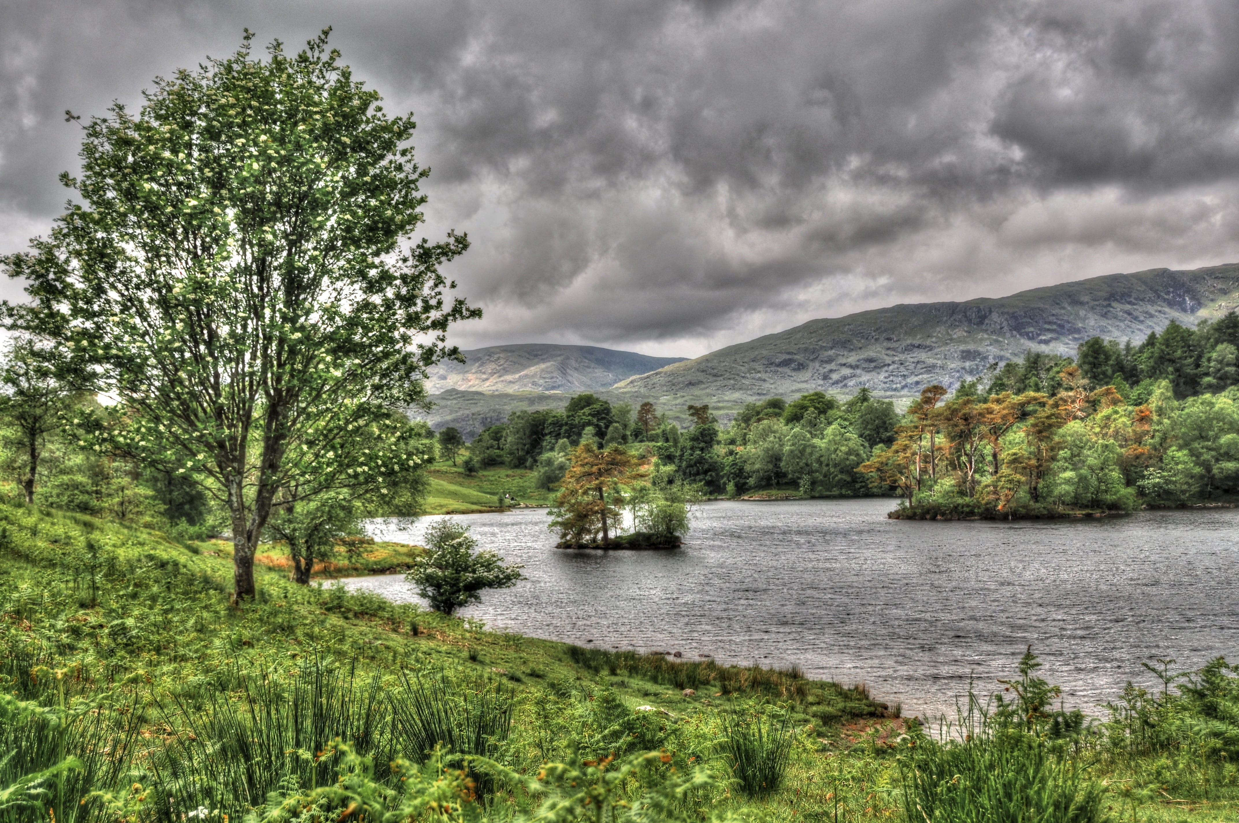 outdoors, mountain, day, landscape, forest, nature, lake, lakeland, tree to more, summer, plant, tranquil scene, cloud - sky, growth, no people, green color, HD Wallpaper