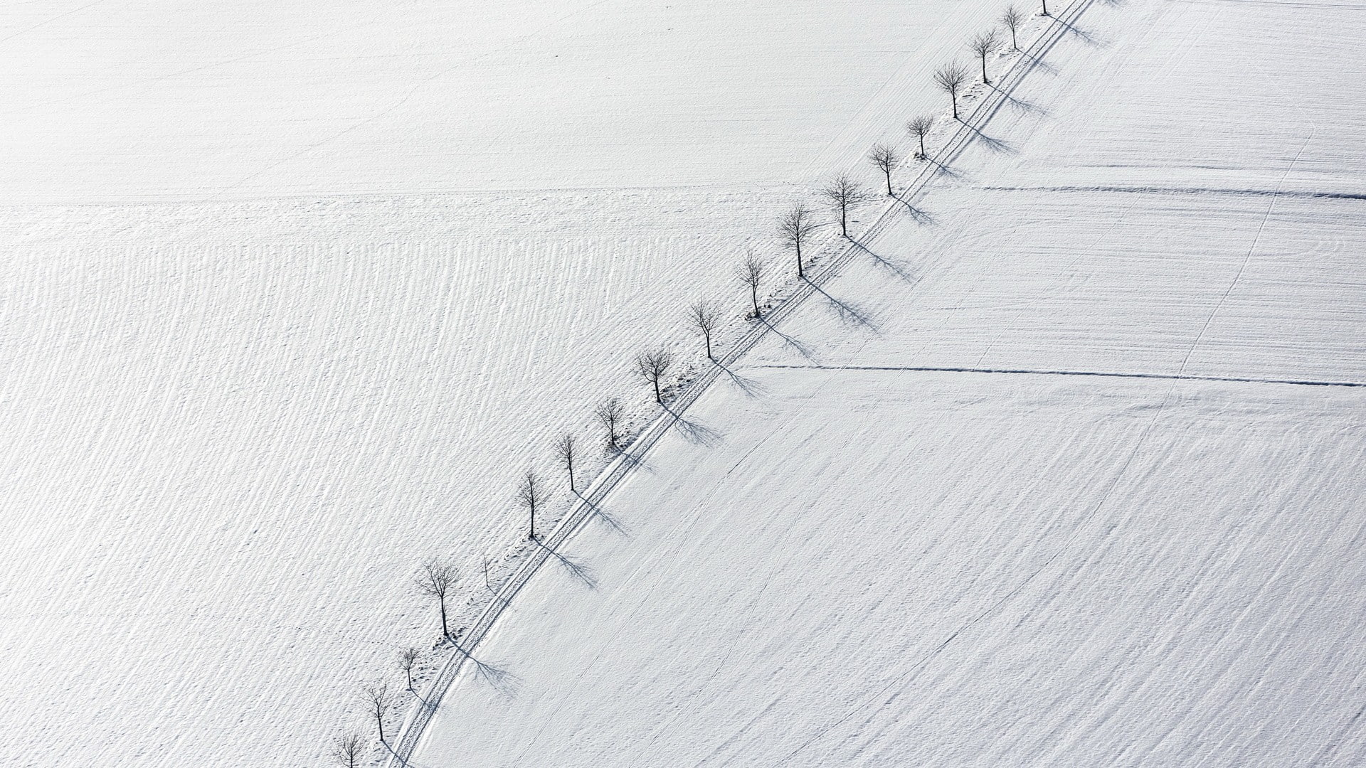 1080P, nature  field  shadow  road  simple  white  dead trees  branch  birds eye view  winter  landscape  aerial view  trees  monochrome  snow, HD Wallpaper