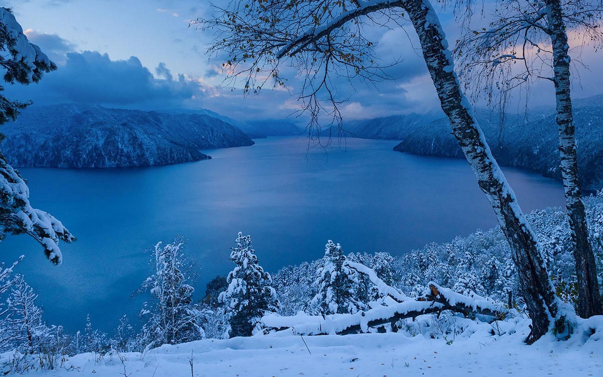 cold, near, winter, trees, nature, 1080P, tree, lake, 1920x1200, mountain, river, snow, HD Wallpaper
