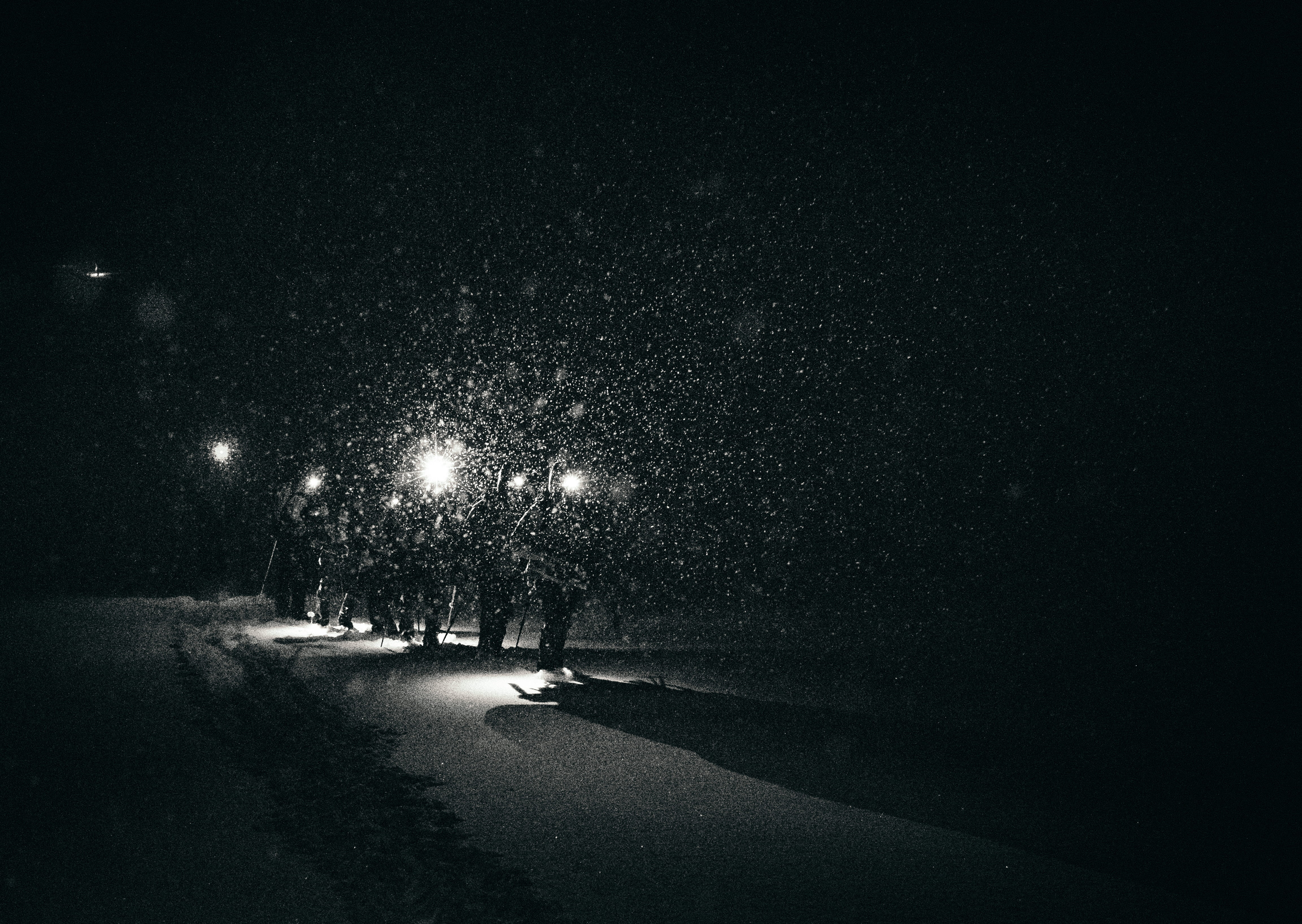 tree, climb, dark, outdoors, californium, shastum, light, city, mountain, motor vehicle, plant, black and white, hiker, climbing, winter, no people, hike, HD Wallpaper