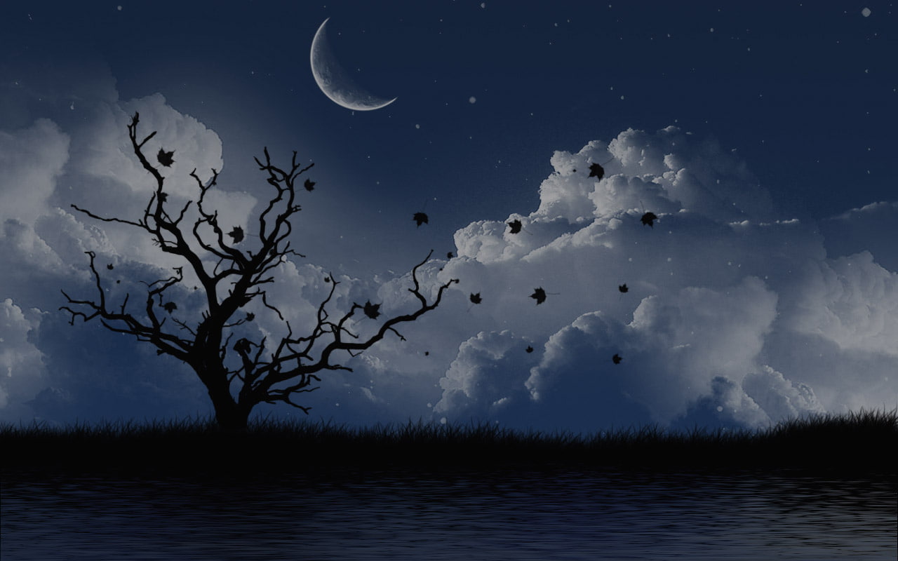 crescent, 720P, landscape, tree, night, artistic, clouds, white, hd, leafless, moon, HD Wallpaper