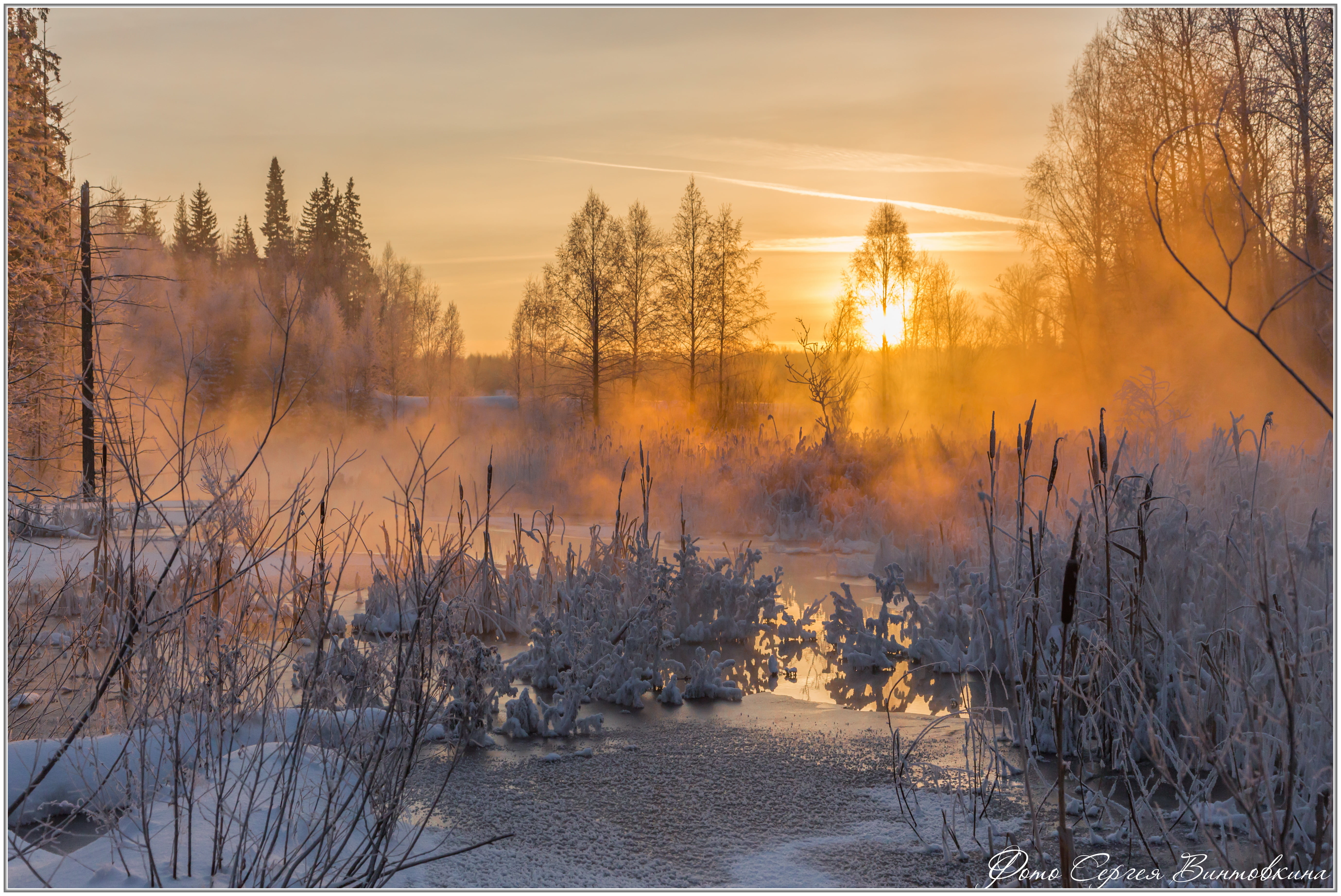 cold - Temperature, scenics, fog, outdoors, woodland, dawn, non-Urban Scene, branch, blue, rural Scene, sky, light - Natural Phenomenon, sun, dusk, frost, HD Wallpaper