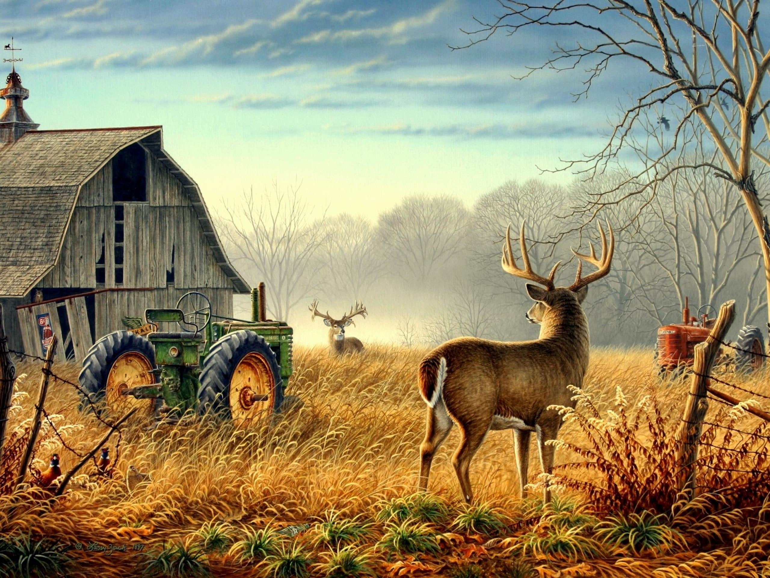 2K, barn, mist, competition, near, birds, leafless, shark, bird, animals, farm, deer, mood, nature, fog, fences, trees, HD Wallpaper