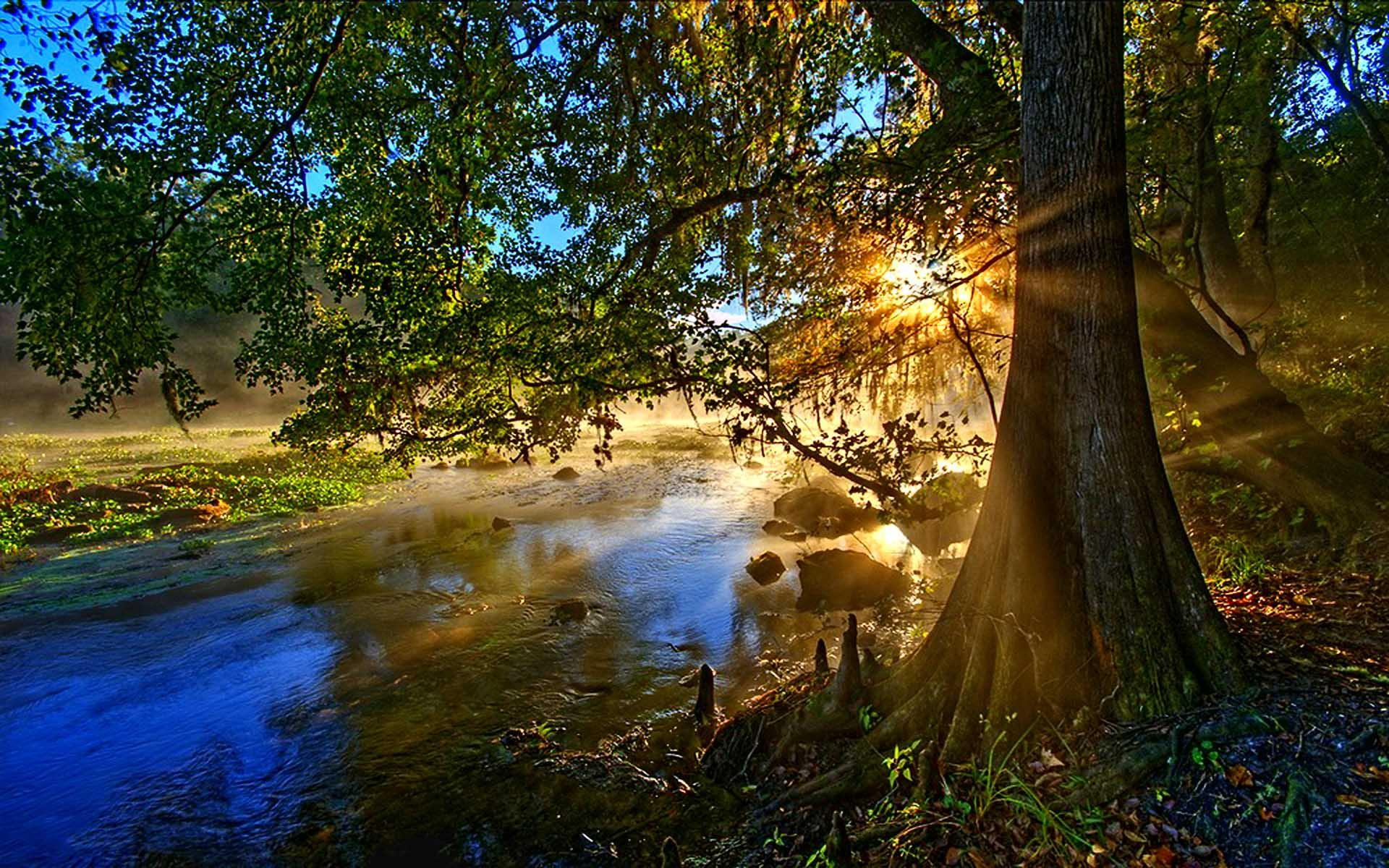 beside, stream, nature, sun, 1080P, 3d and abstract, painting, trees, light, rays, finally, tree, forest, lake, beauty, HD Wallpaper