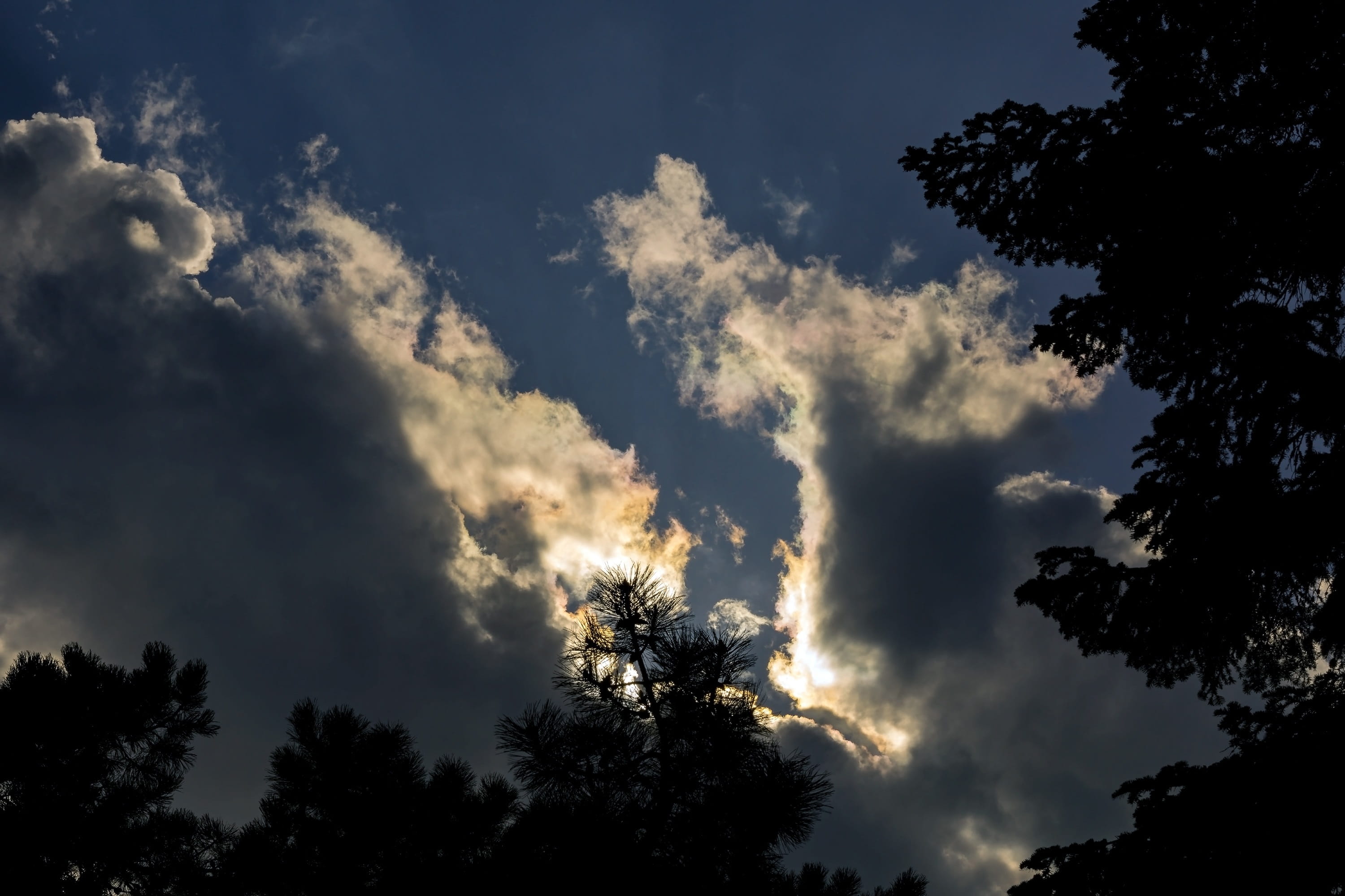 sunlight, in the evening, panorama, bright, the atmosphere, sunset, power in nature, twilight, scenics - nature, beauty in nature, tree, nature, low angle view, HD Wallpaper