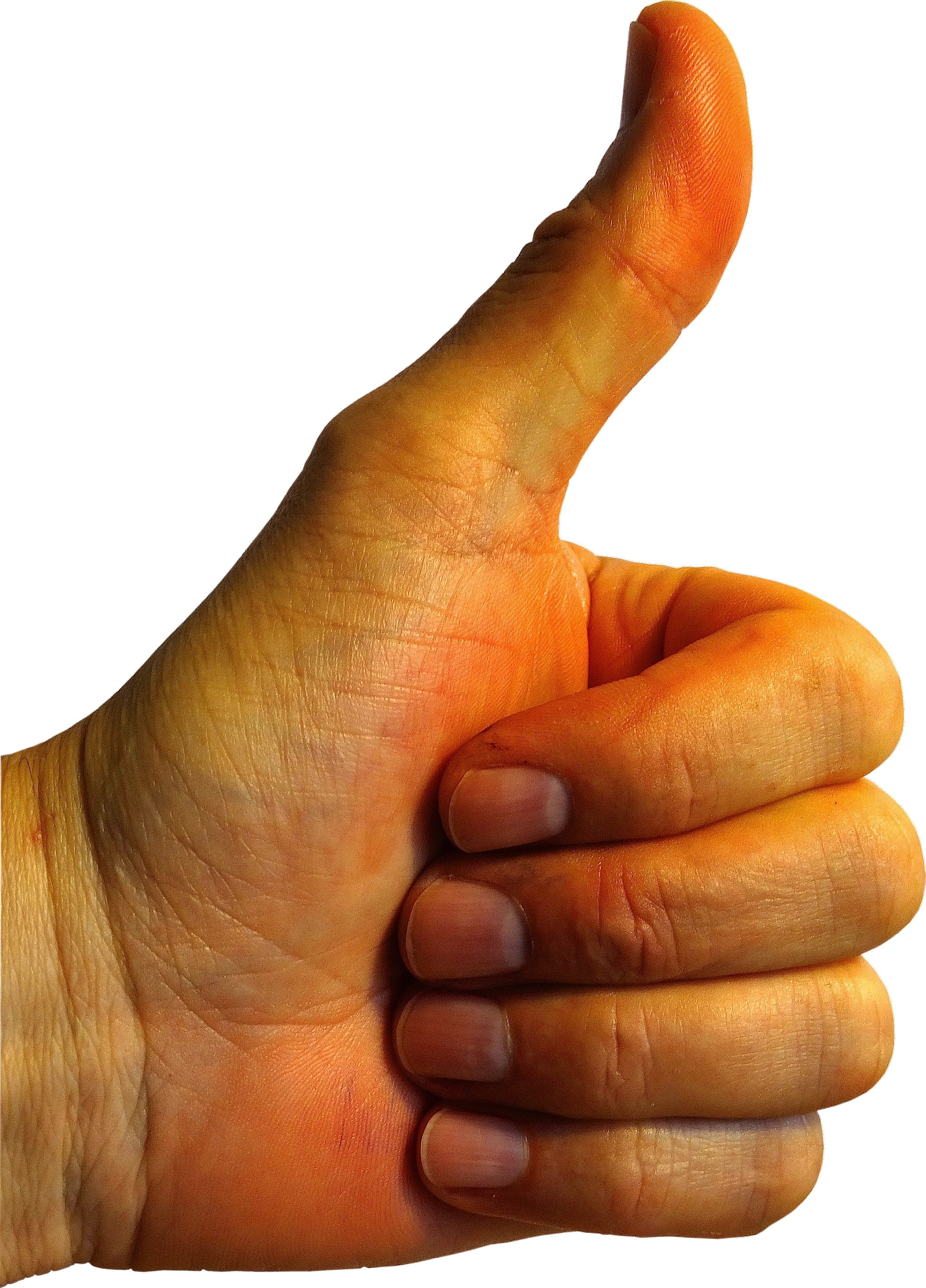 human limb, positive, lifestyles, s, full well, one person, human Finger, Sign Language, limb, white Background, isolated On White, adult, hand, top, real people, Phone HD Wallpaper