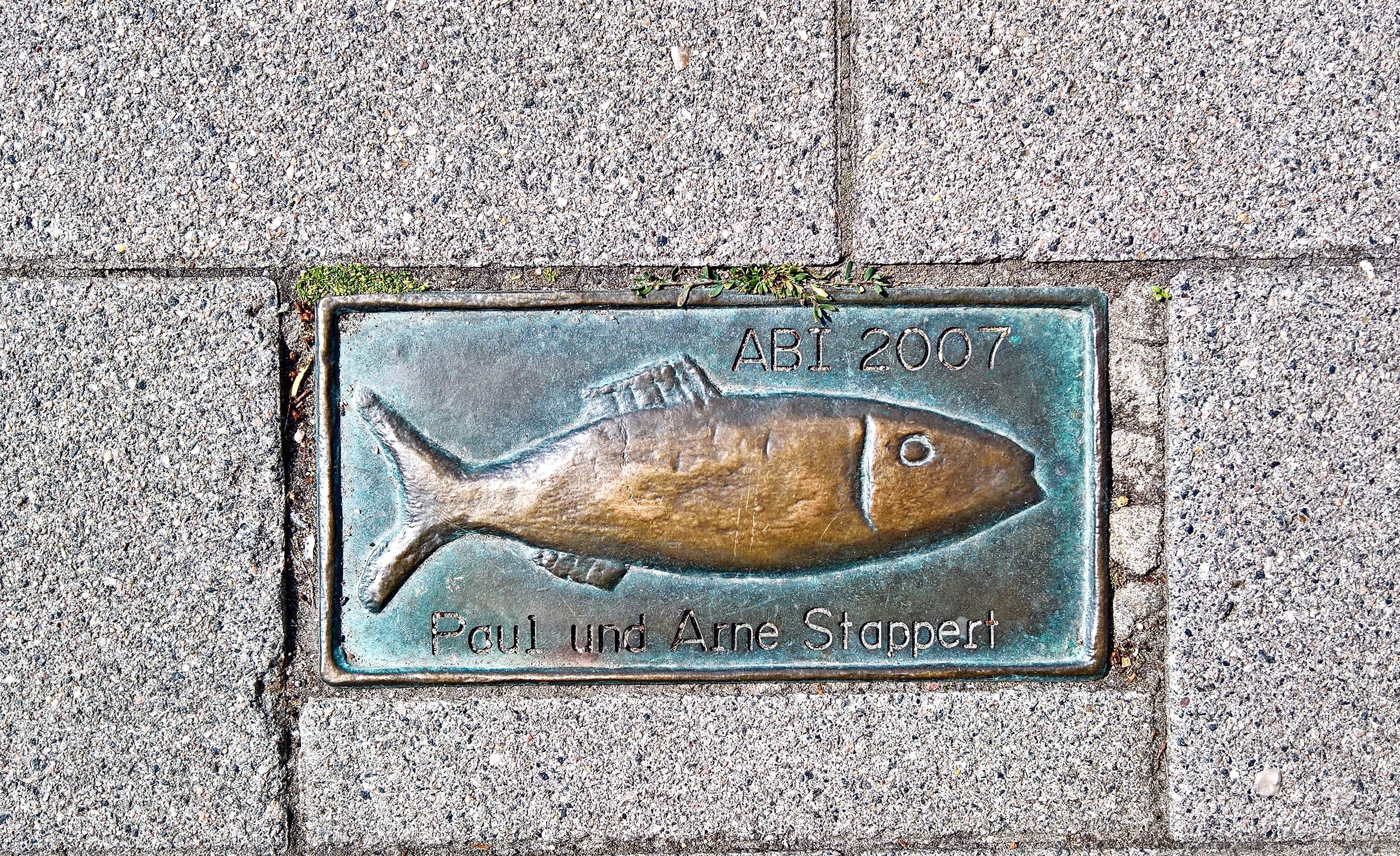 commercially available, paving stone, transportation, street, 2K, road, brass, pattern, commemorative plate, northern germany, kappeln, communication, HD Wallpaper