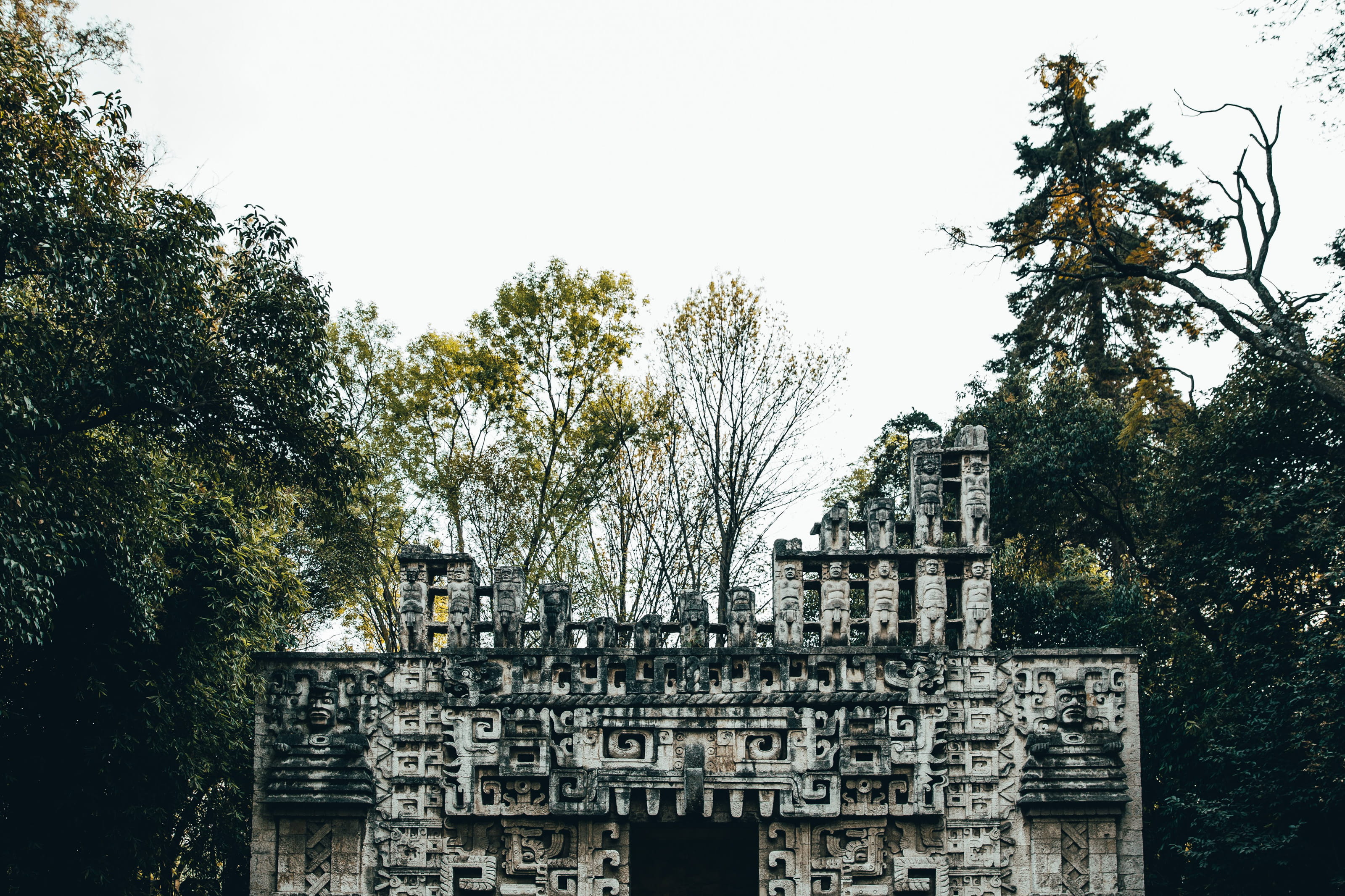 religion, place of worship, travel, structure, historic, root, travel destinations, medieval, faith, door, building exterior, jungle, monastery, ancient civilization, HD Wallpaper