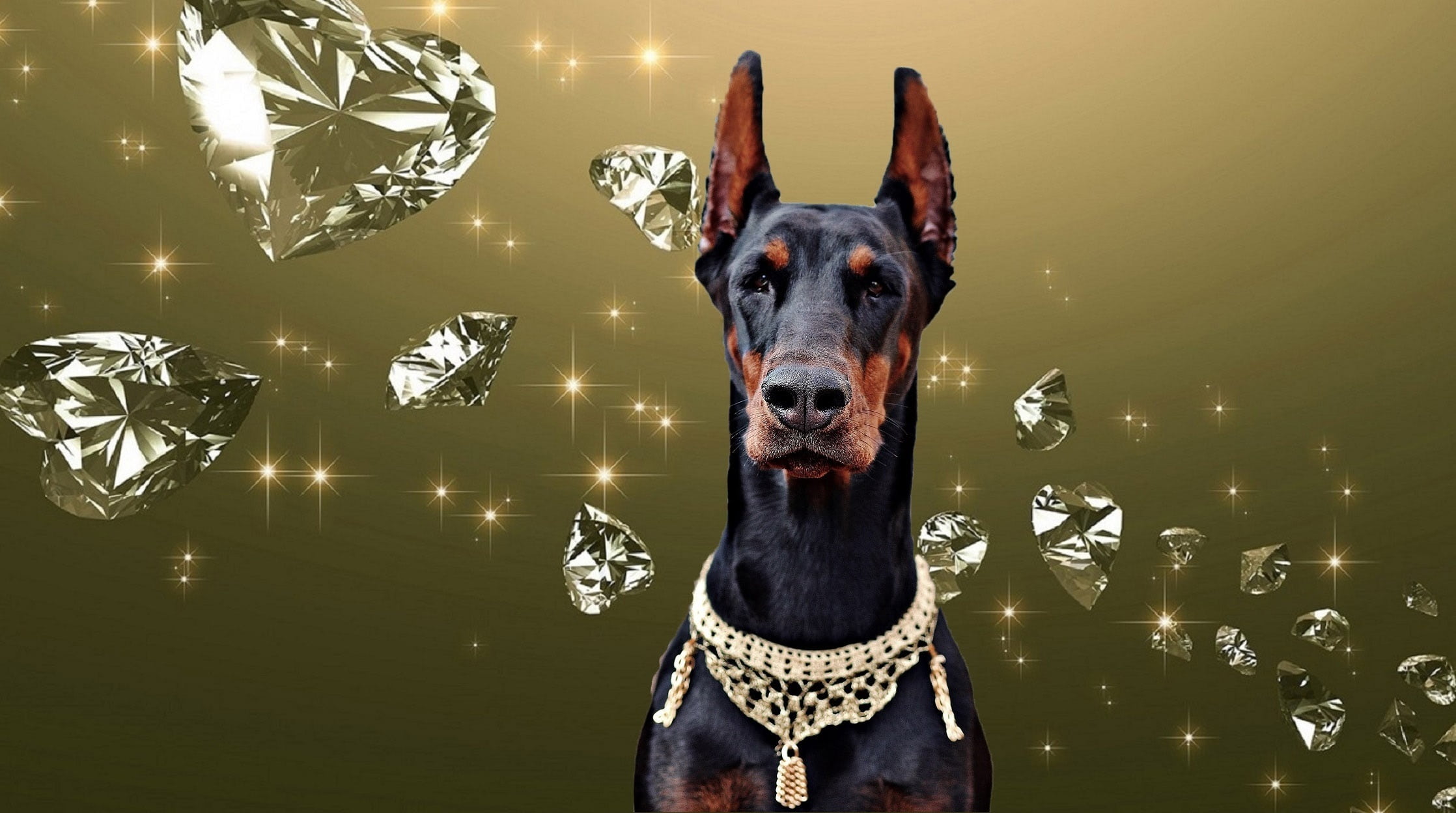 night, dog, no people, canine, pinscher, domestic animals, diamond, vertebrate, tan, illuminated, portrait, pets, doberman, domestic, one animal, lighting equipment, HD Wallpaper