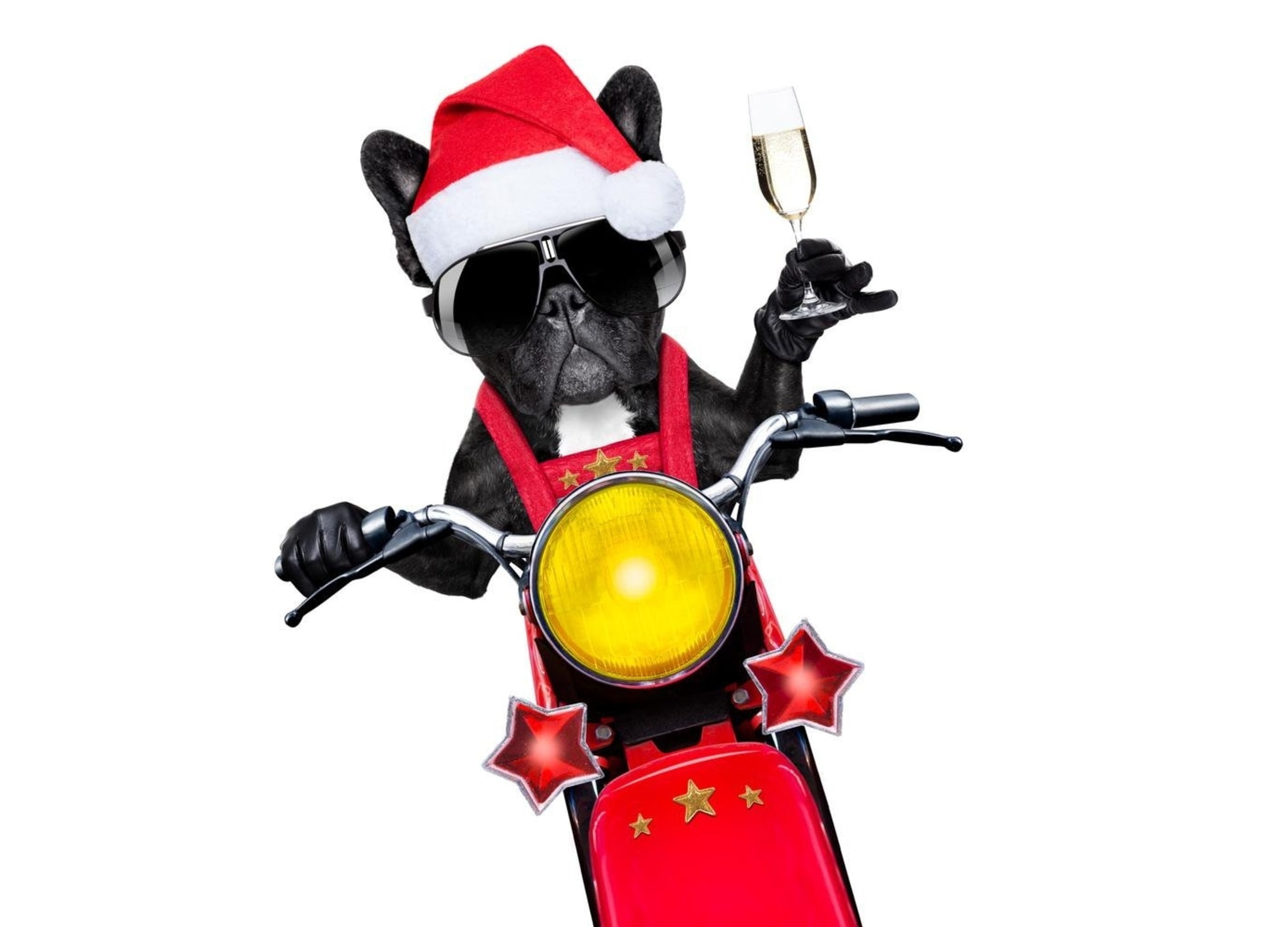 funny, dog, craciun, red, christmas, sunglasses, :D, black, 1080P, santa, hat, yellow, caine, animal, glass, card, HD Wallpaper