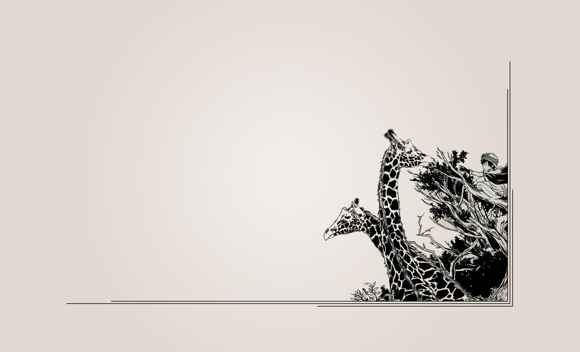 1080P, giraffes, HD Wallpaper