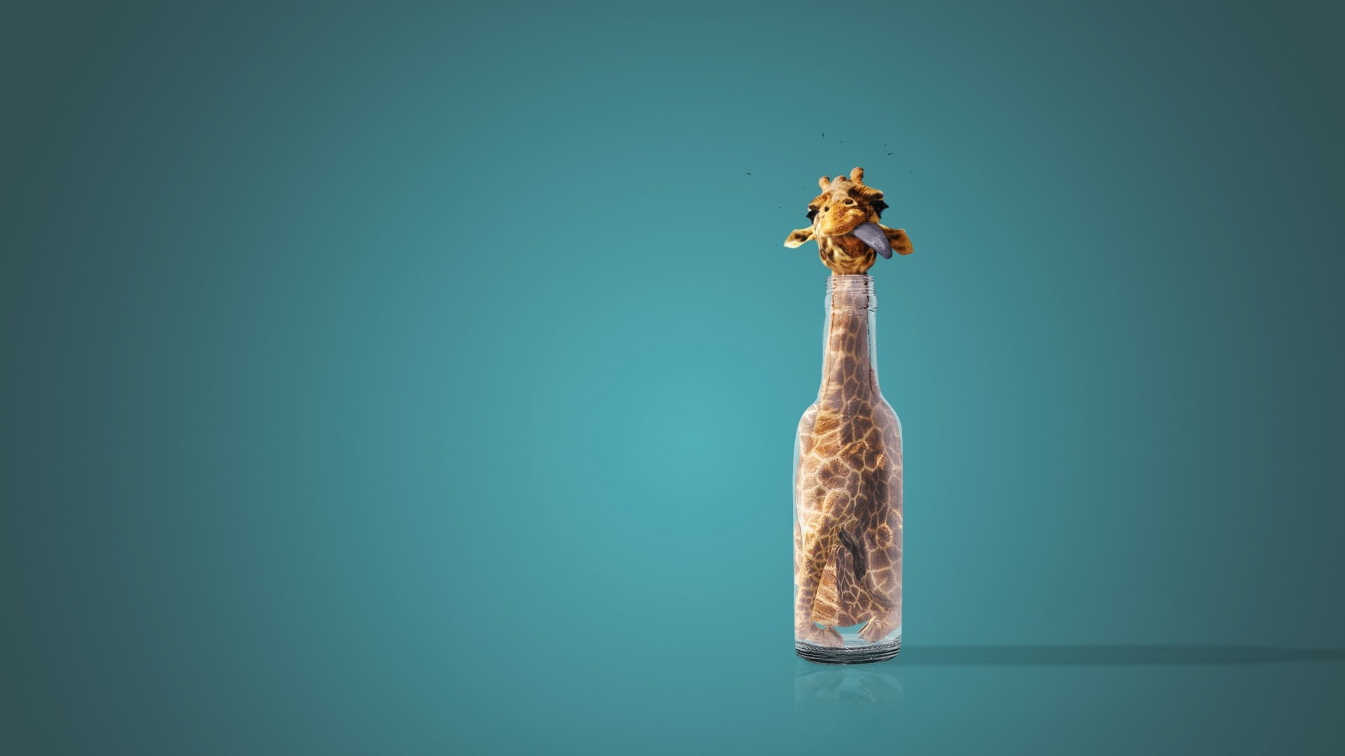 bottles, giraffes, 1080P, tongues, HD Wallpaper