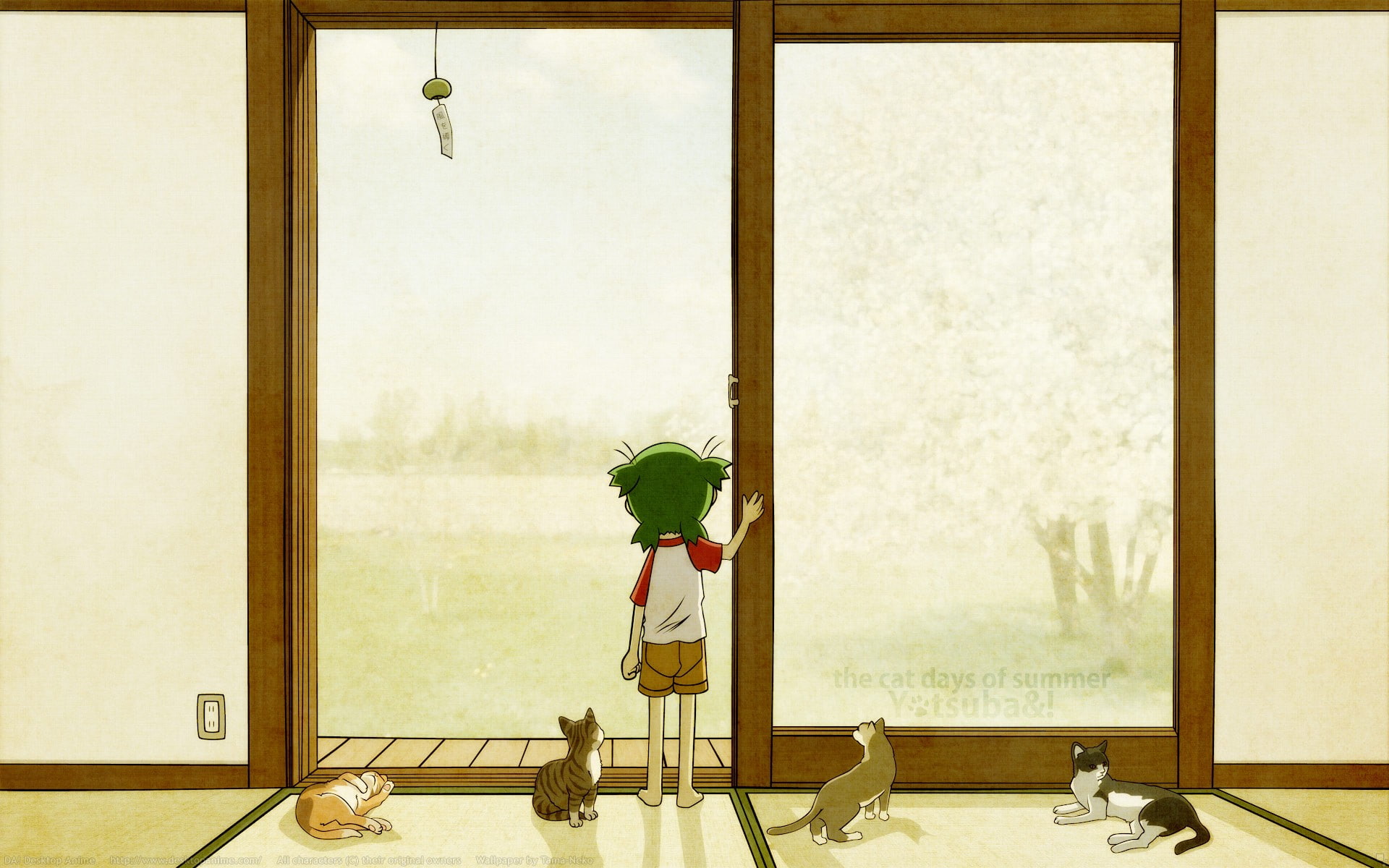 transparent, boys, nature, anime, cat, offspring, uniform, childhood, table, casual clothing, window, full length, child, Yotsubato, real people, indoors, HD Wallpaper
