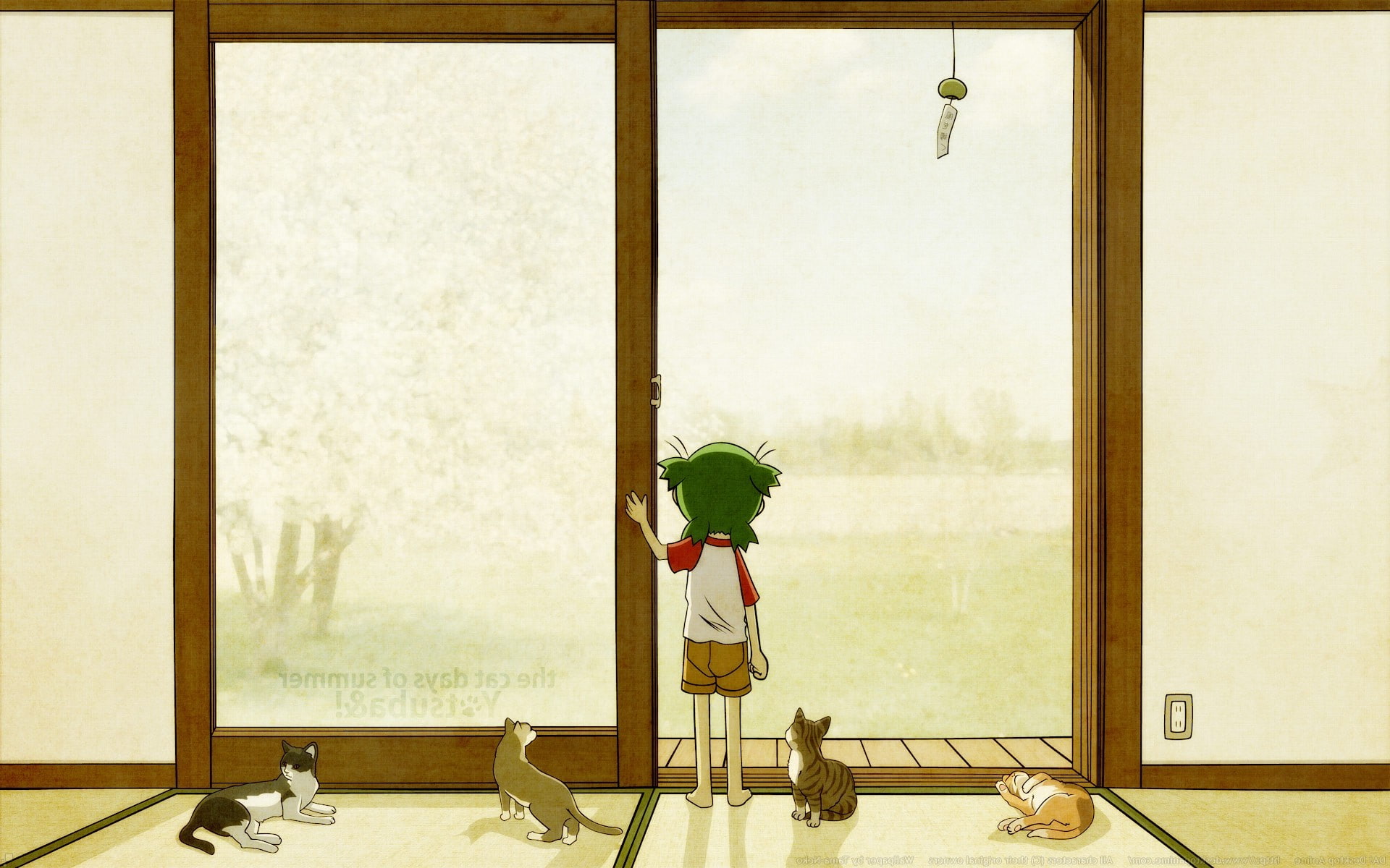 electric lamp, offspring, plant, 1080P, people, window, indoors, absence, wall - building feature, Yotsubato, childhood, transparent, anime, representation, HD Wallpaper