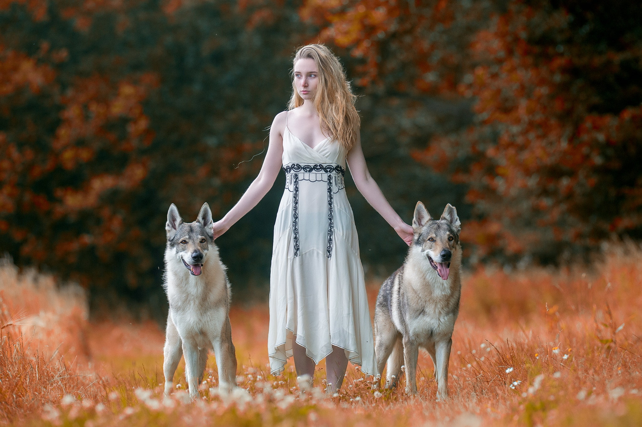 fashion, domestic, beautiful woman, one person, czechoslovakian wolfdog, domestic animals, blond hair, women, dog, 1080P, portrait, canine, hairstyle, HD Wallpaper