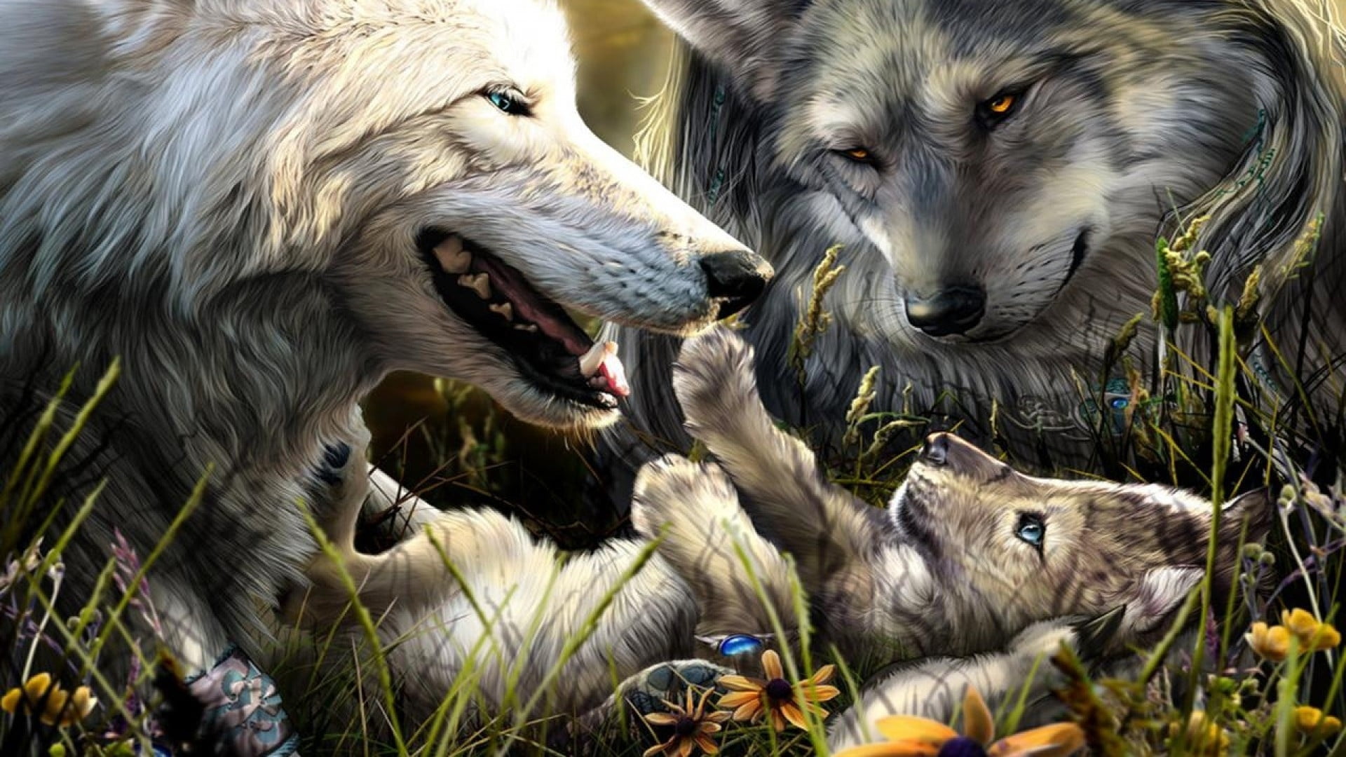 domestic animals, nature, animal themes, Familie, vertebrate, two animals, mouth, group of animals, canine, day, mouth open, aggression, Hund, dog, mammal, HD Wallpaper