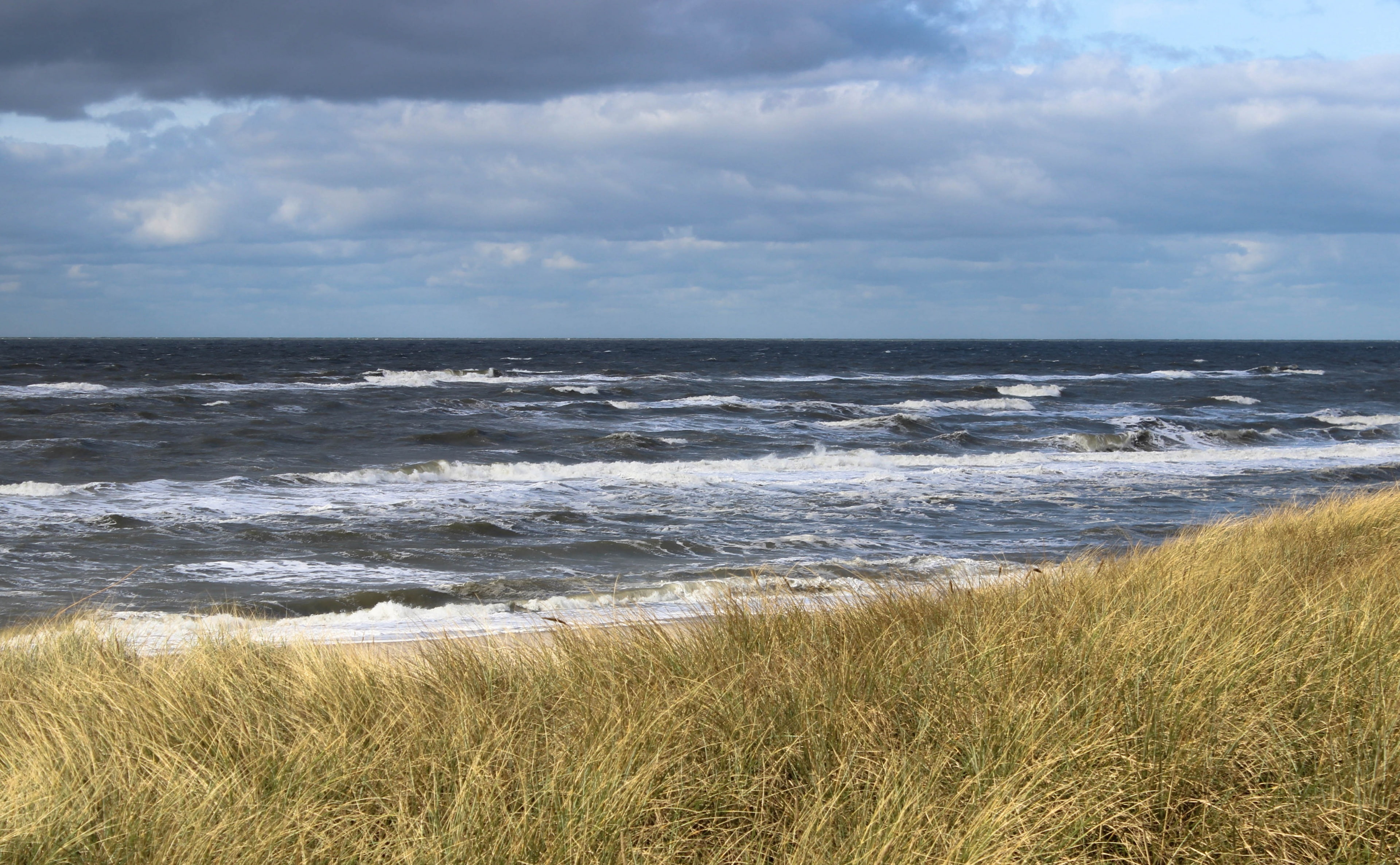 land, tranquility, Kuste, nature, horizon over water, cloud - sky, green, north, Landscape, scenics - nature, nordsea, Europe, day, tranquil scene, 4K, HD Wallpaper