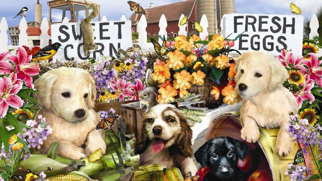 flowering plant, dog, small, mammal, Familie, Hund, canine, animal, Schwarz, young animal, pets, flower, domestic, multi colored, no people, domestic animals, HD Wallpaper