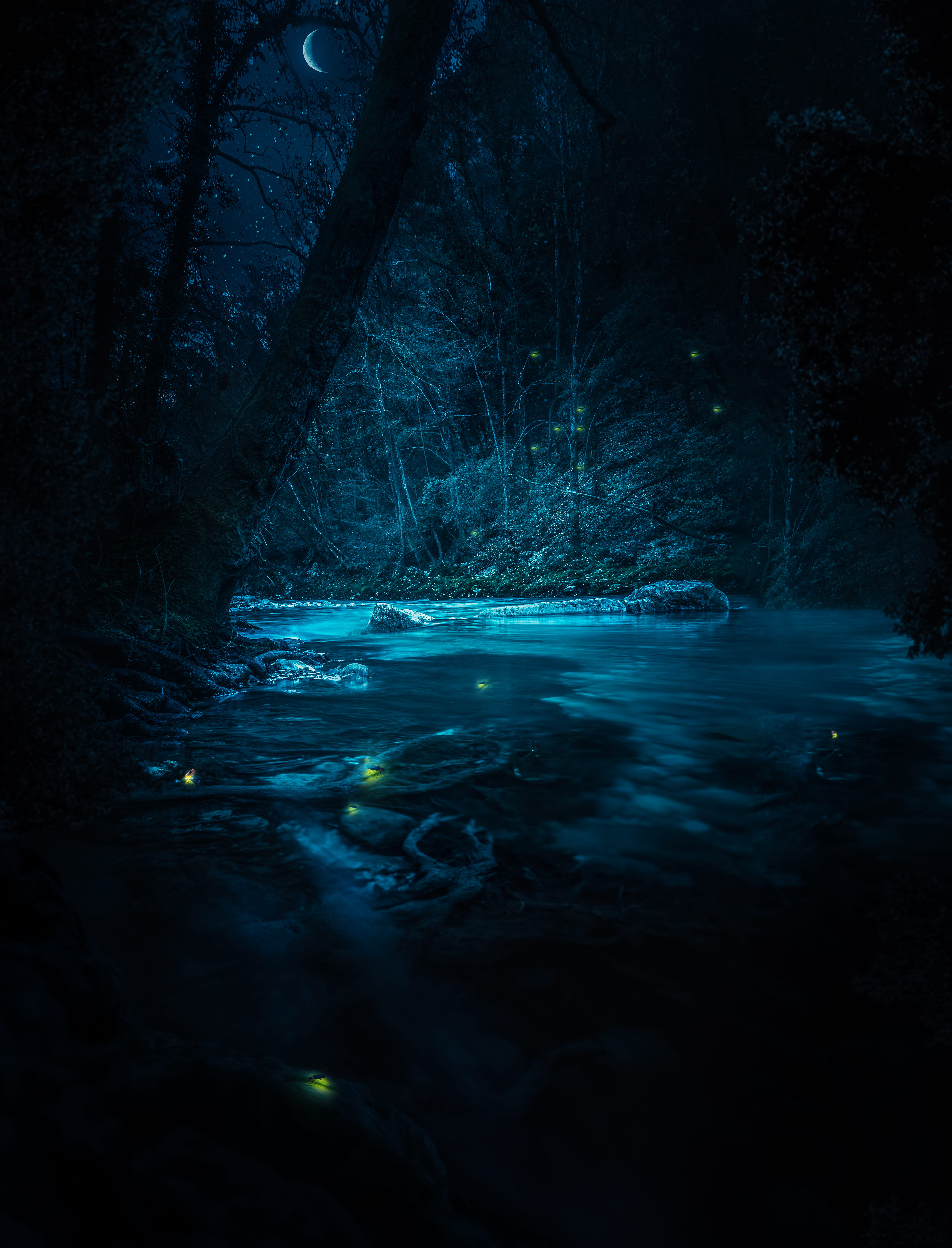 firefly, trees, tranquility, sky, stars, long exposure, tranquil scene, no people, forset, outdoors, la, body, scenics - nature, sur, fireflie, loup, nature, Phone HD Wallpaper