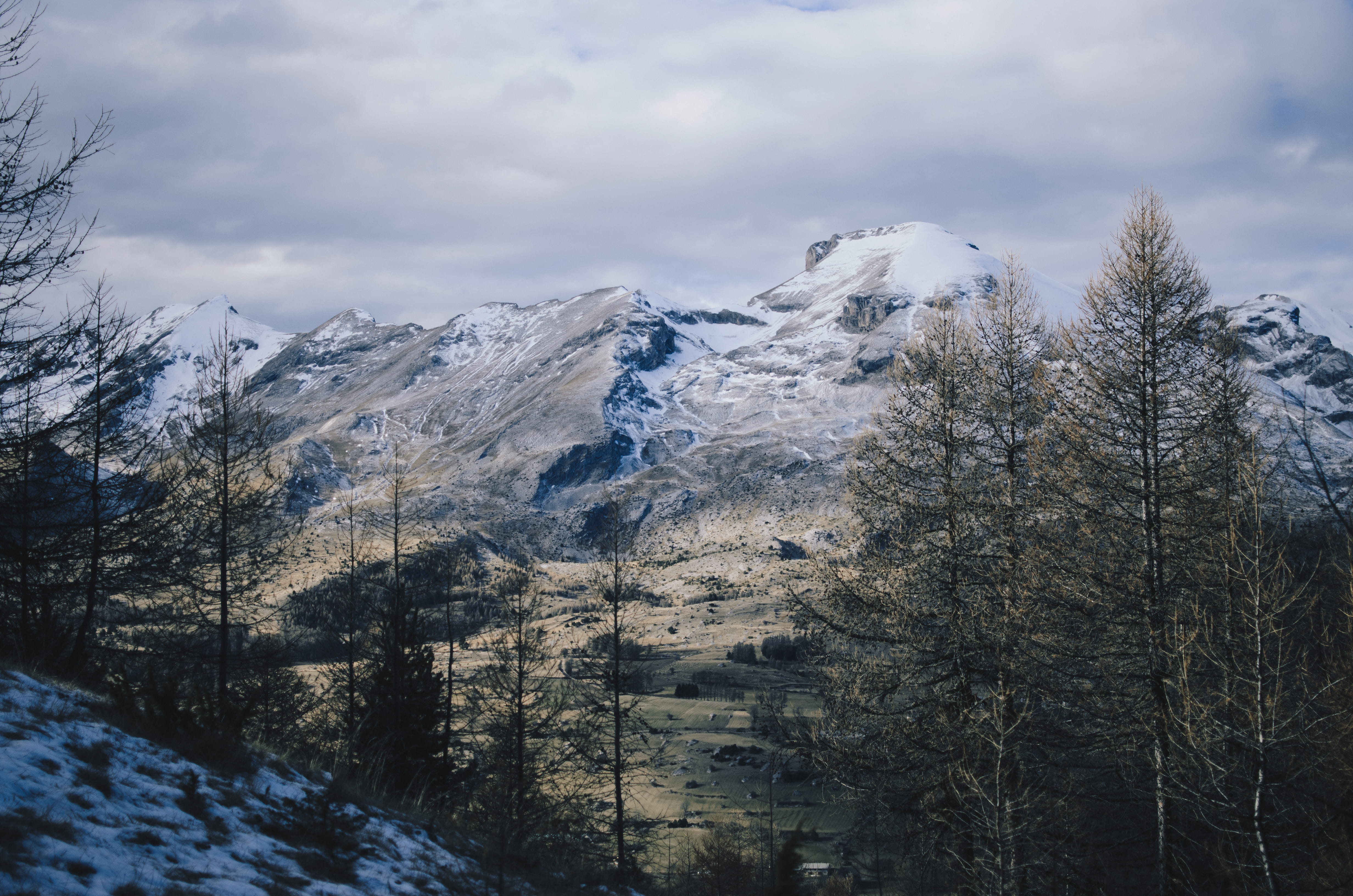 mountain peak, le dévoluy, outdoors, plant, snowcapped mountain, field, mystic, winter, non-urban scene, pine, landscape, scenics - nature, trees, trekking, HD Wallpaper