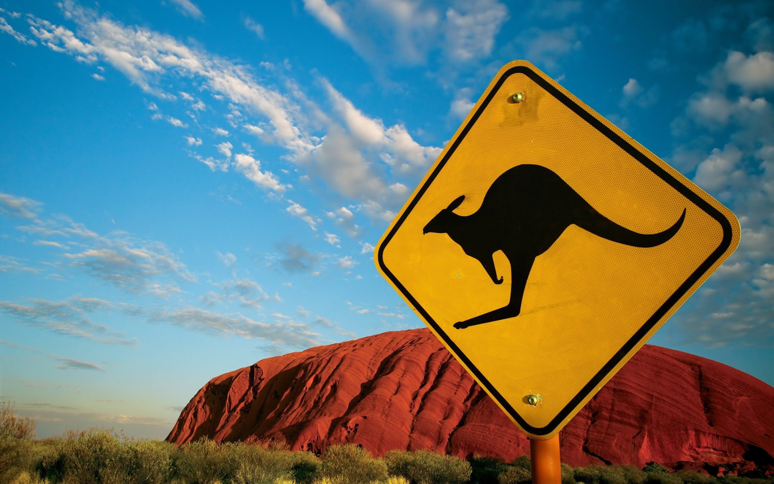 marsupial, kangaroo, 2K, sign, HD Wallpaper