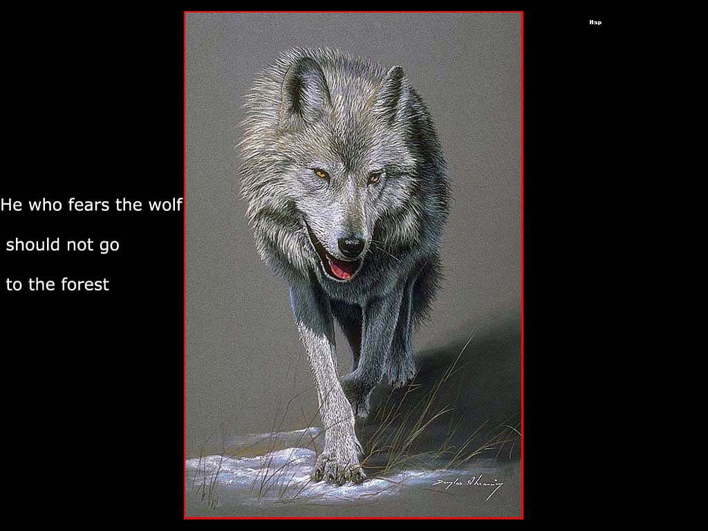 art, animal, animals, wolf, fear, wolfs, hd, 480P, forrest, HD Wallpaper