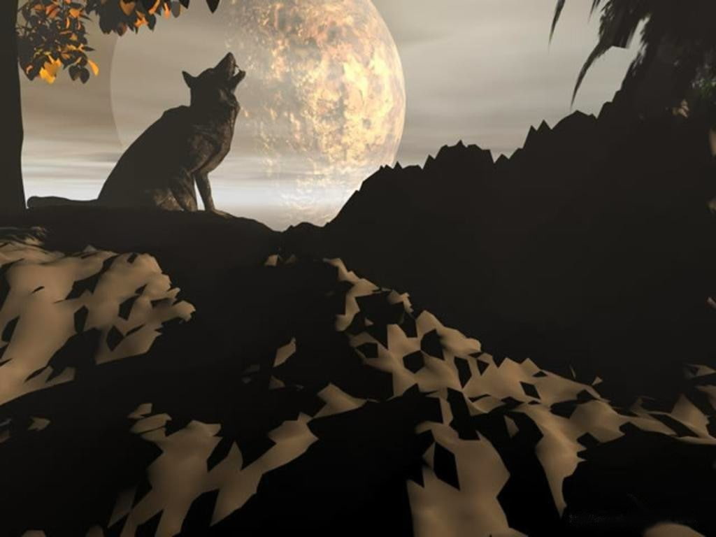 Moon, nature, 480P, wolf, art, hd, sky, animals, HD Wallpaper