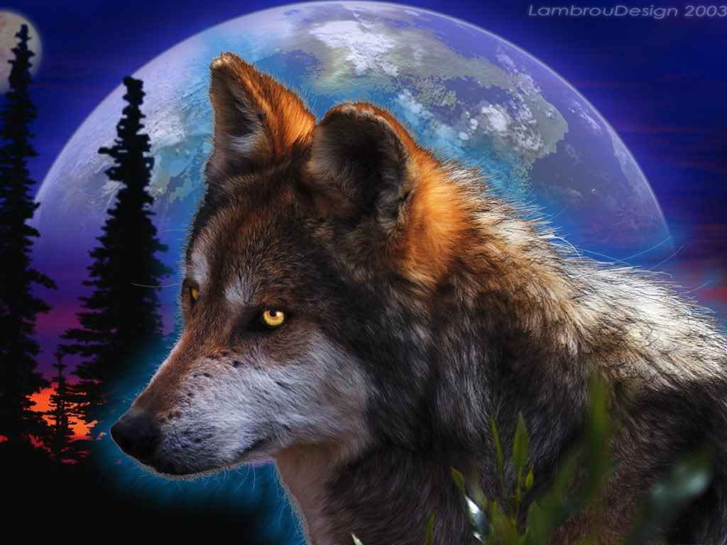 animals, 480P, hd, night, wolf, art, HD Wallpaper