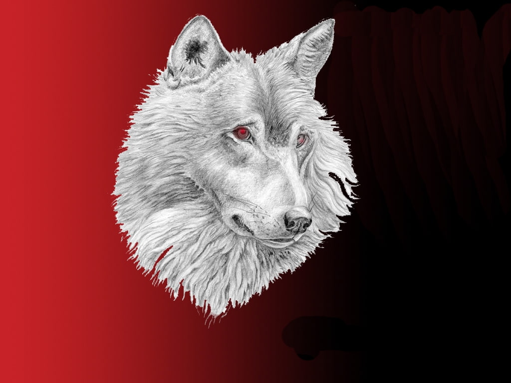 animals, hd, art, wolf, red, 480P, HD Wallpaper